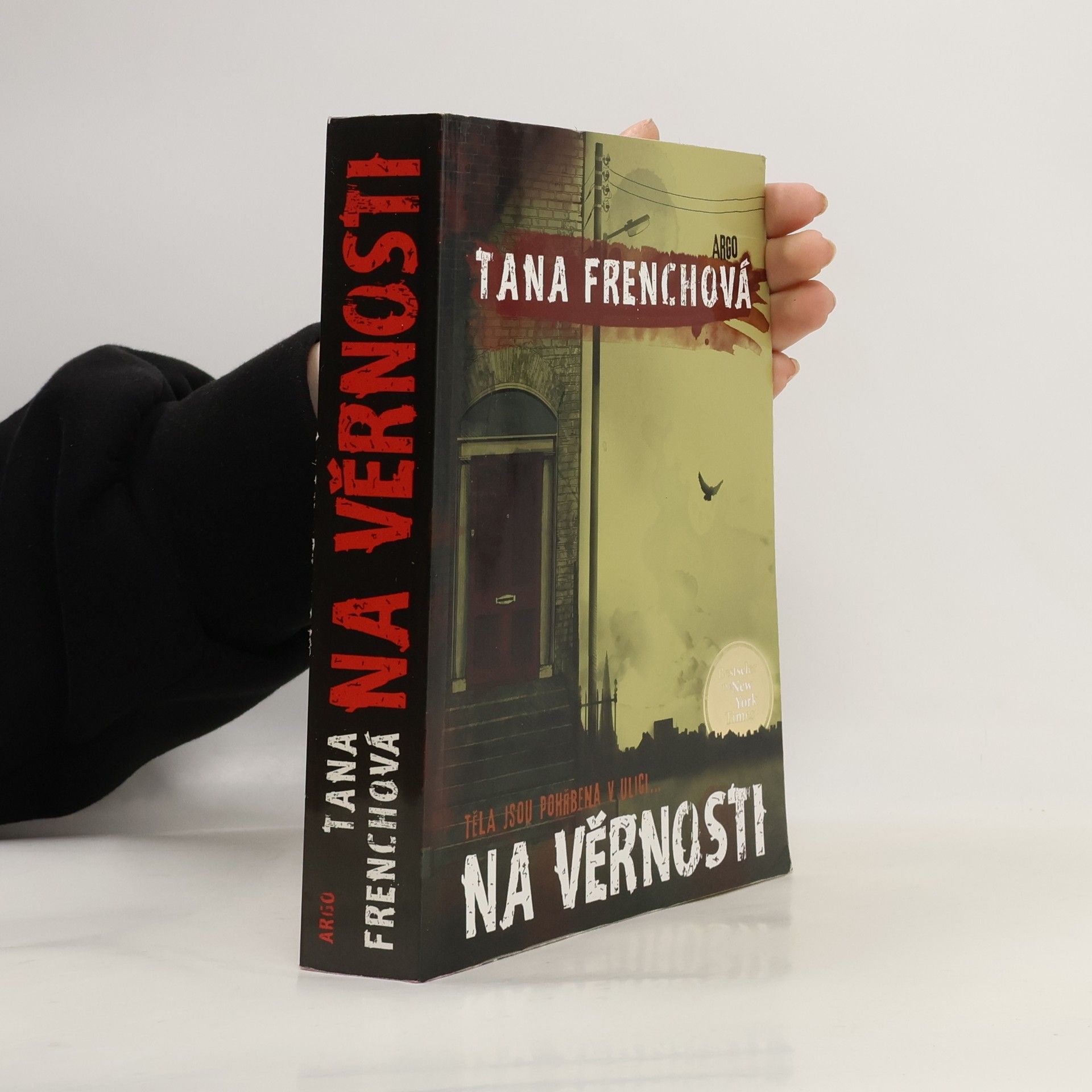 Tana French Na Věrnosti