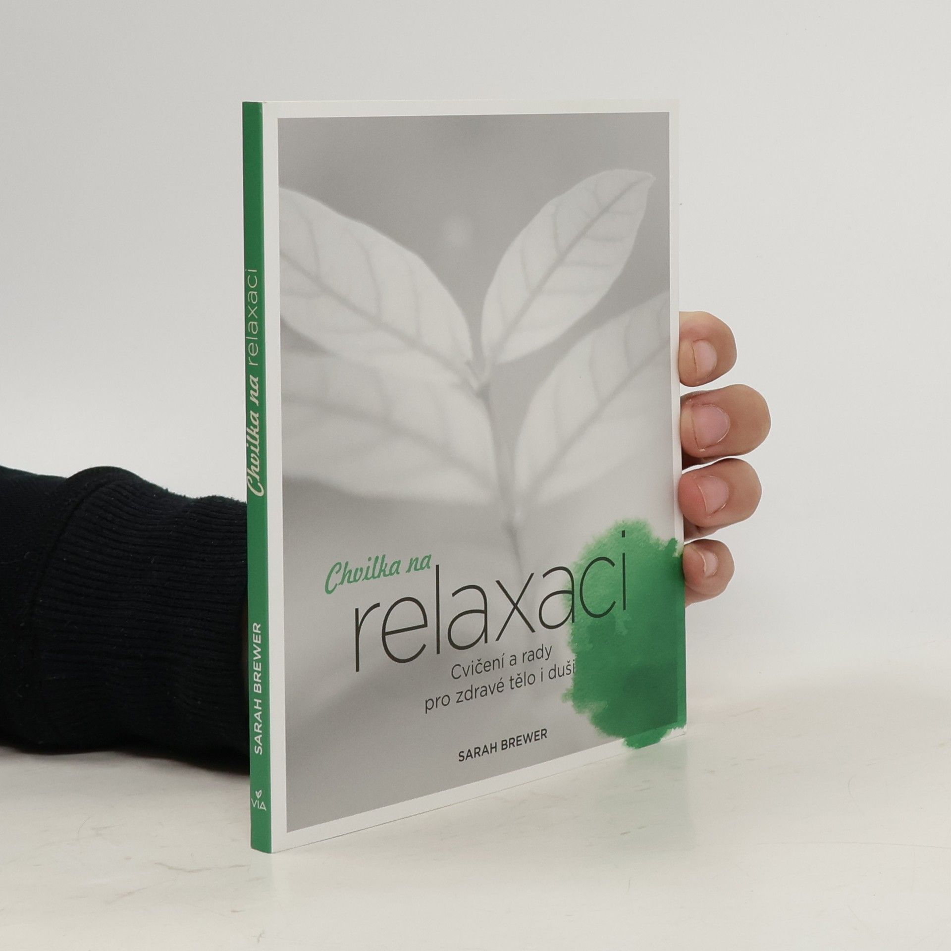 Sarah Brewer Chvilka na relaxaci: Cvičení a rady pro zdravé tělo i duši