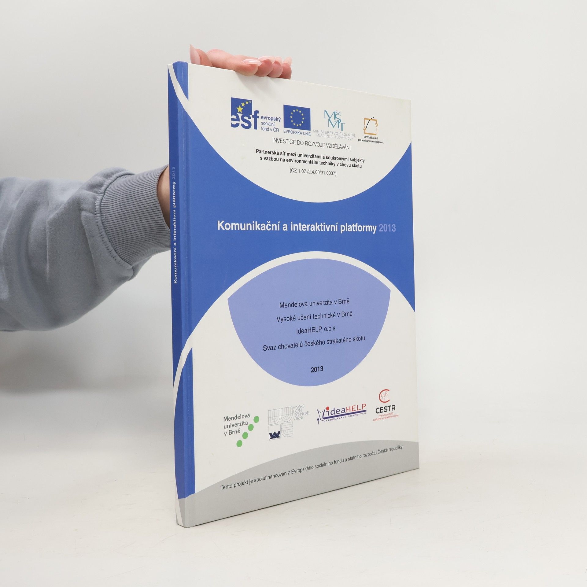 Komunikační a interaktivní platformy 2013