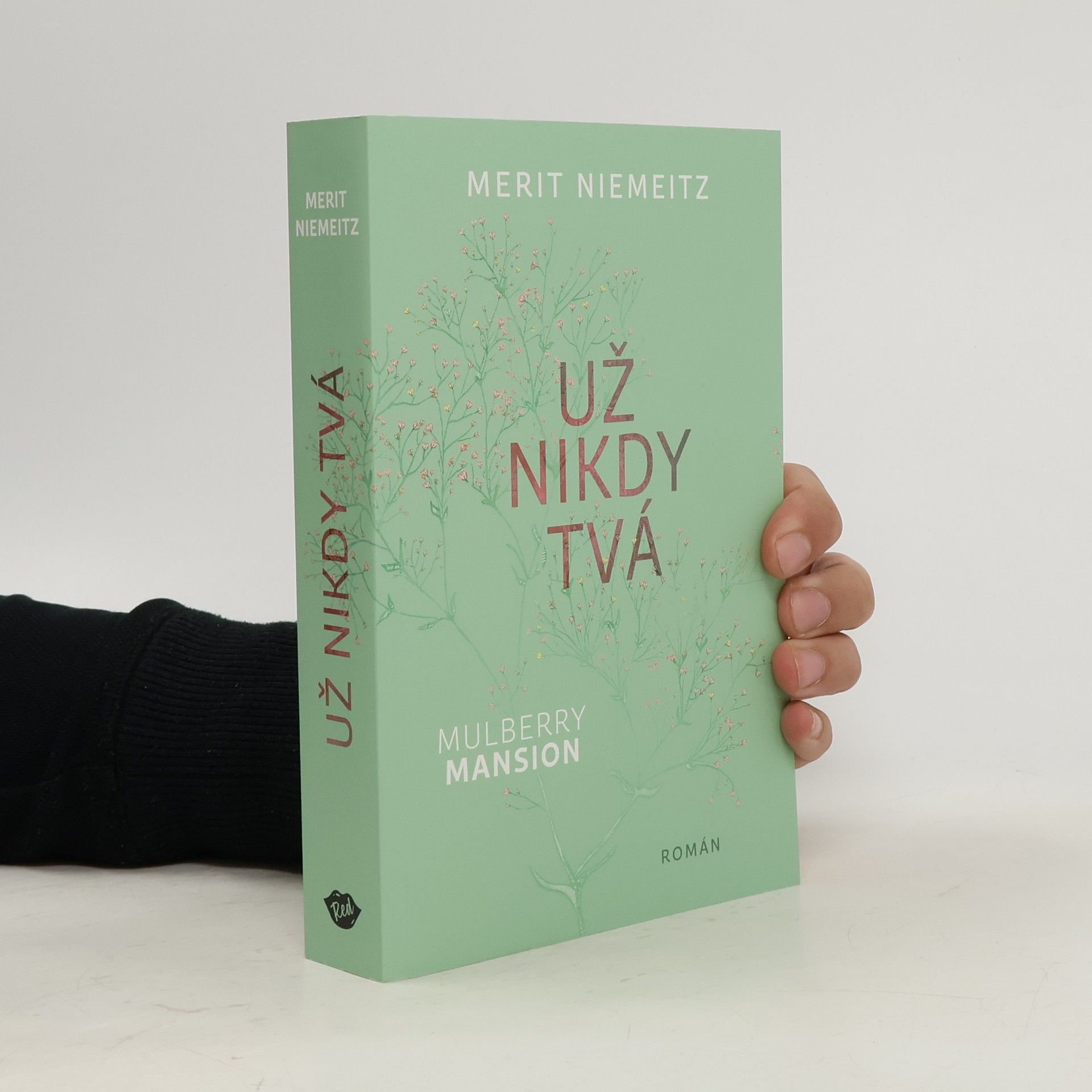 Merit Niemeitz Už nikdy tvá