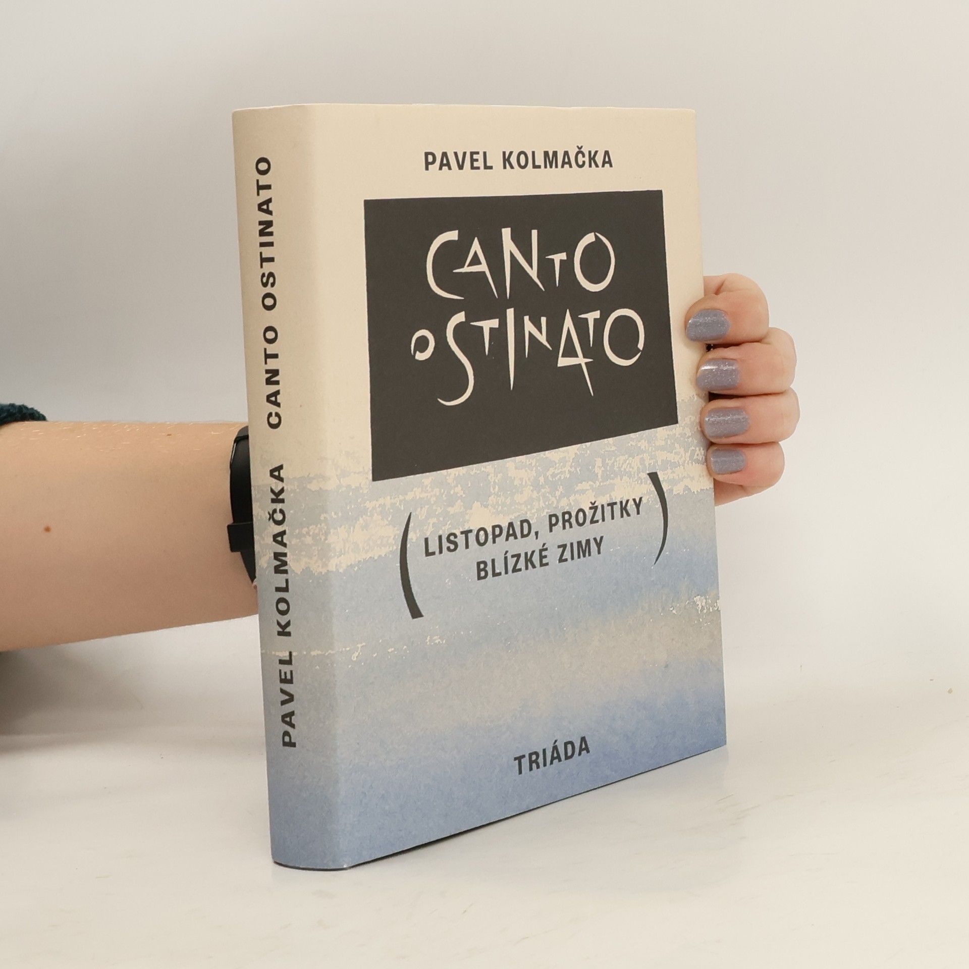 Canto ostinato (Listopad, prožitky blízké zimy)