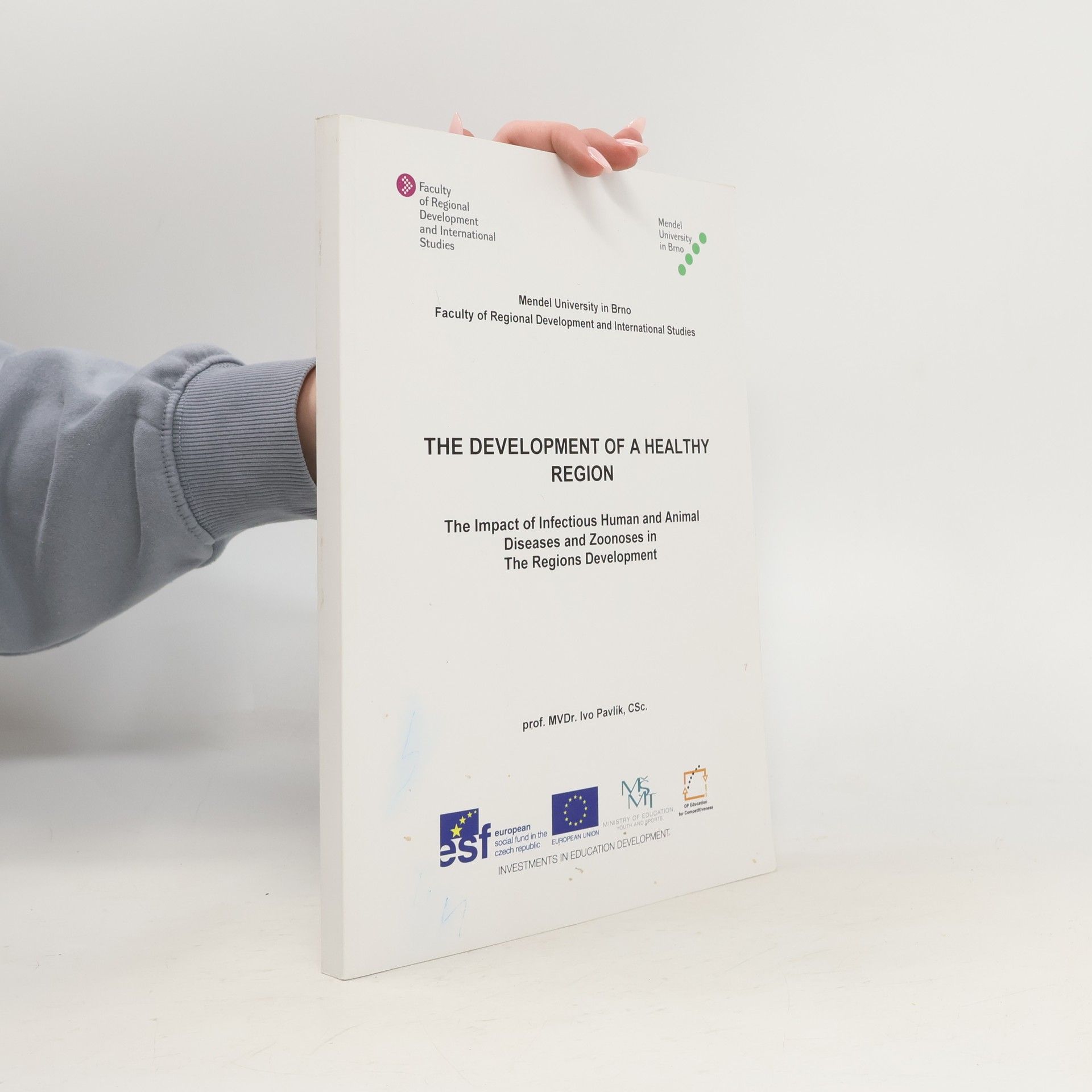 The Development of a Healthy Region