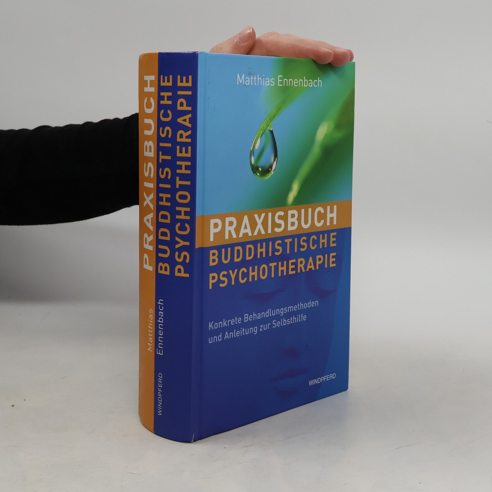 Praxisbuch buddhistische Psychotherapie