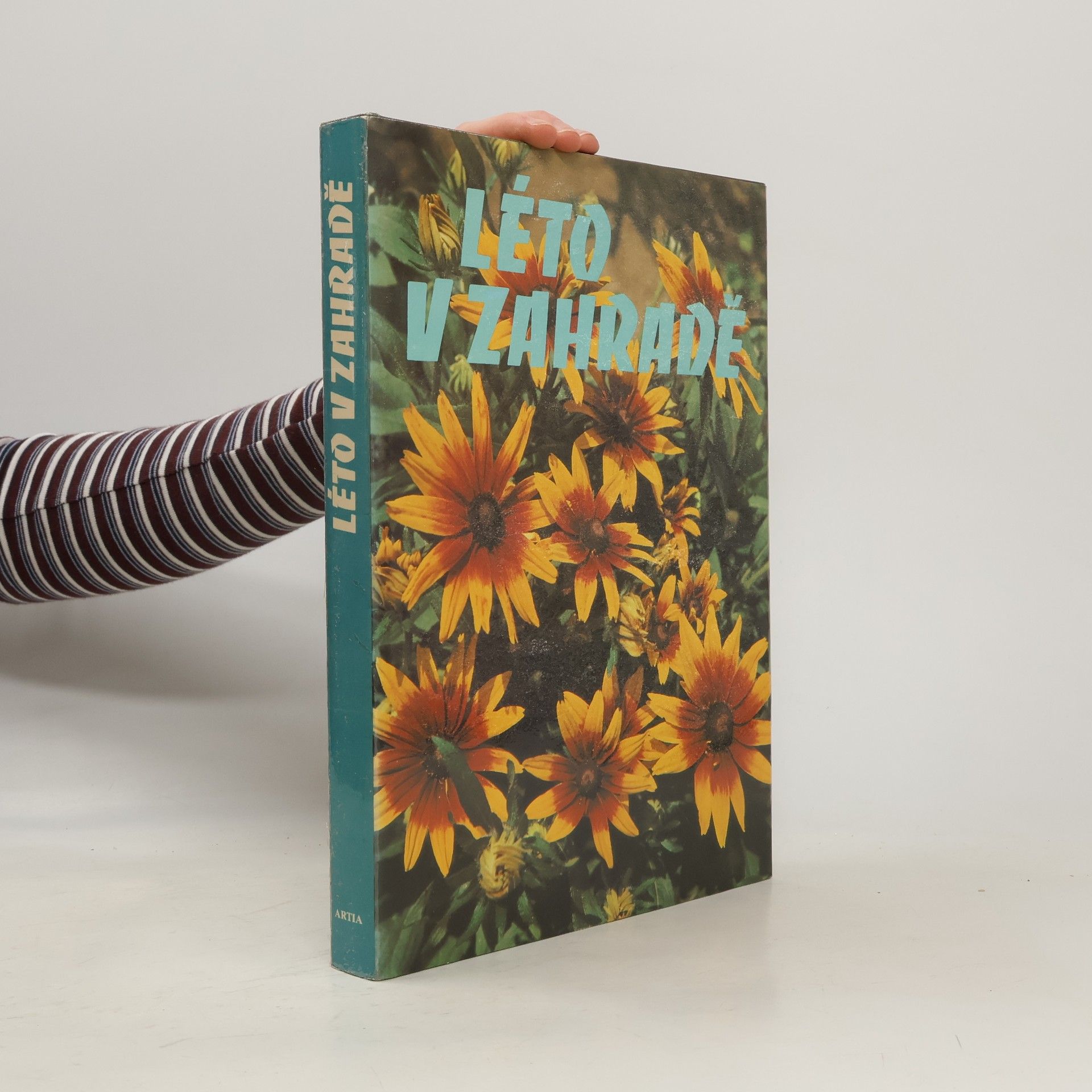Kolektiv autorů Léto v zahradě