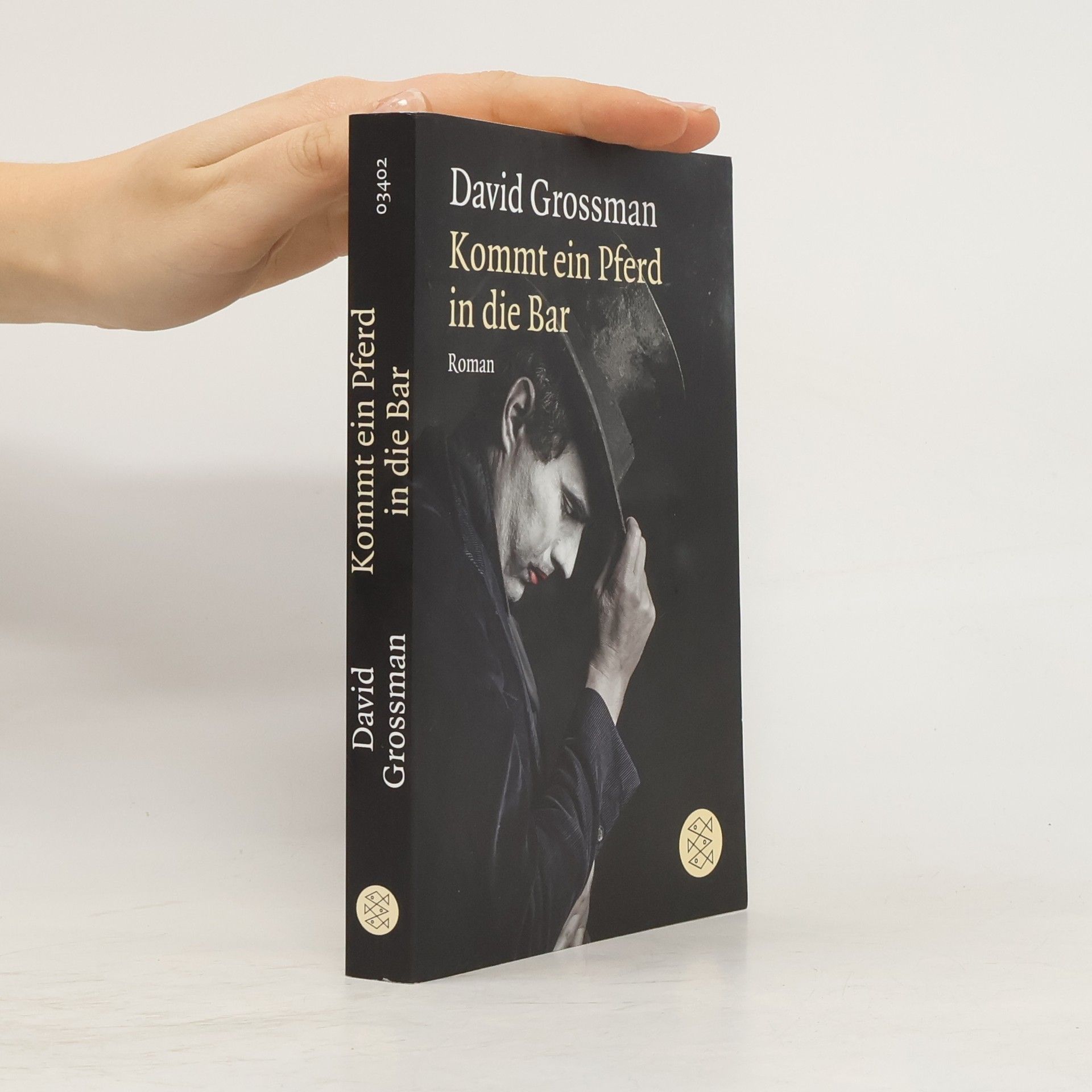 David Grossman Kommt ein Pferd in die Bar