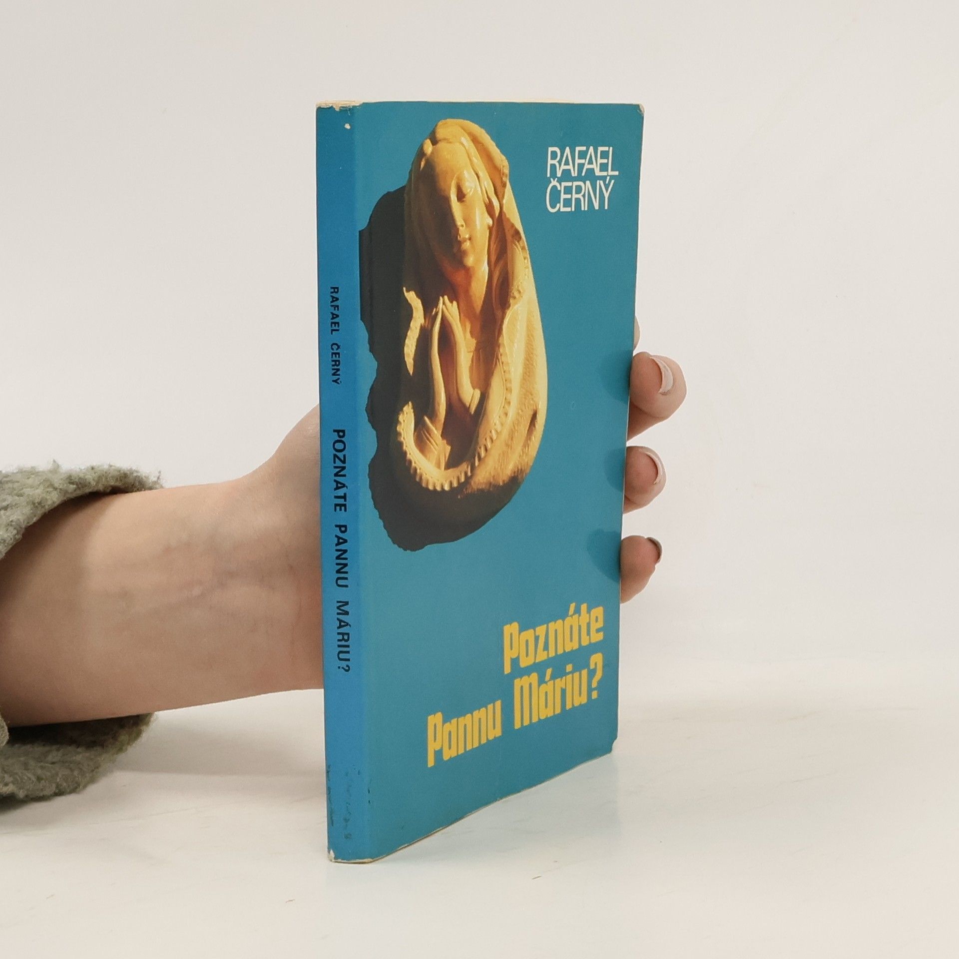 Kolektív autorov Poznáte Pannu Máriu?