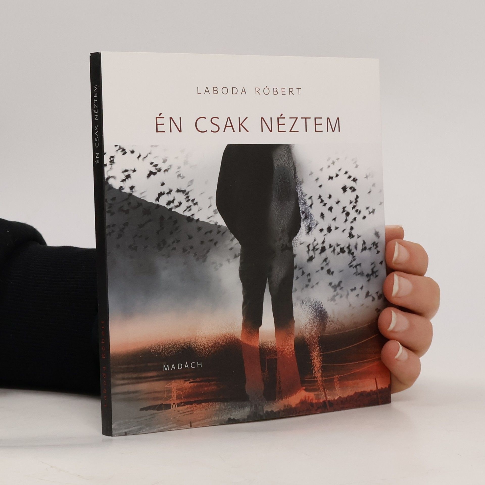 Laboda Róbert Én csak néztem