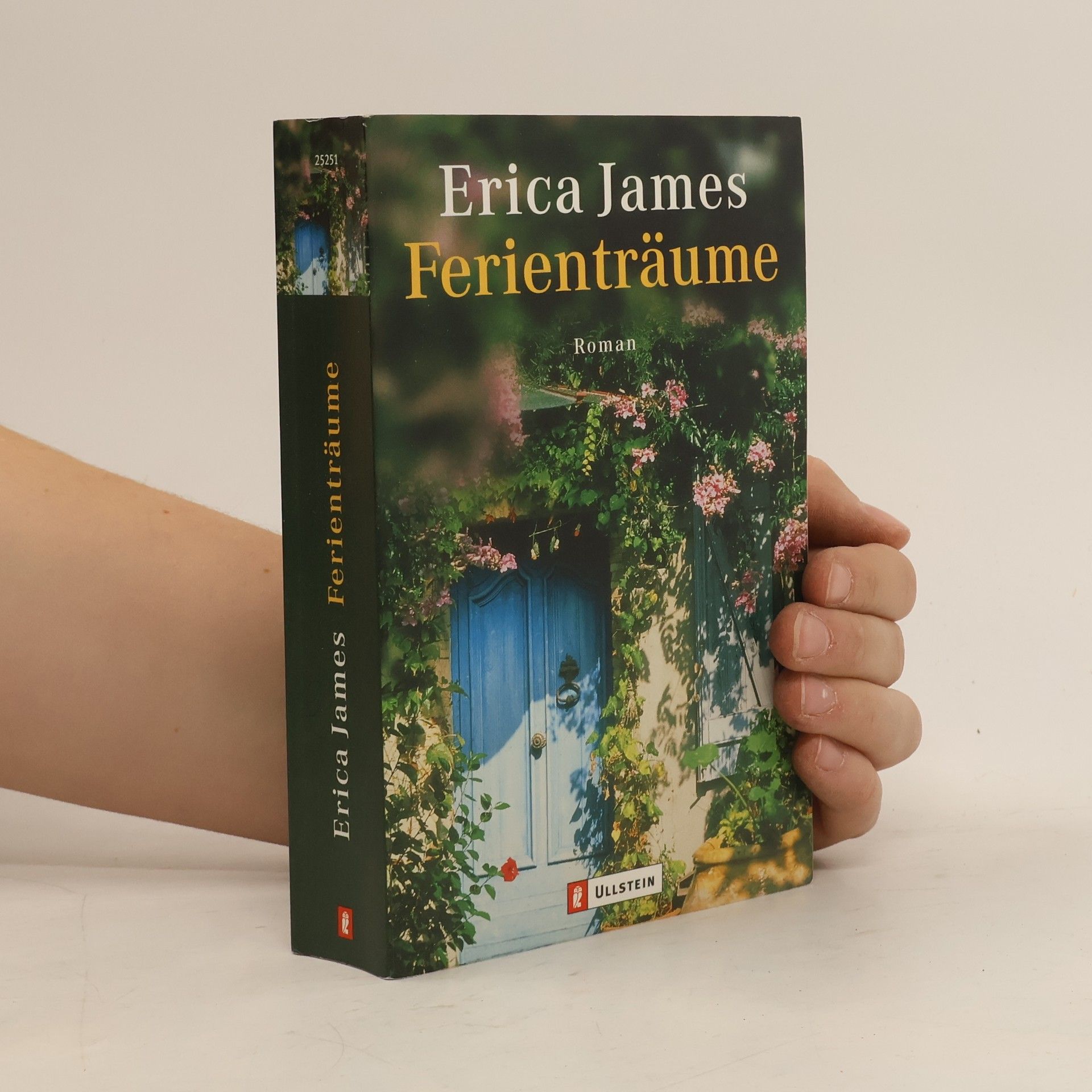 Erica James Ferienträume