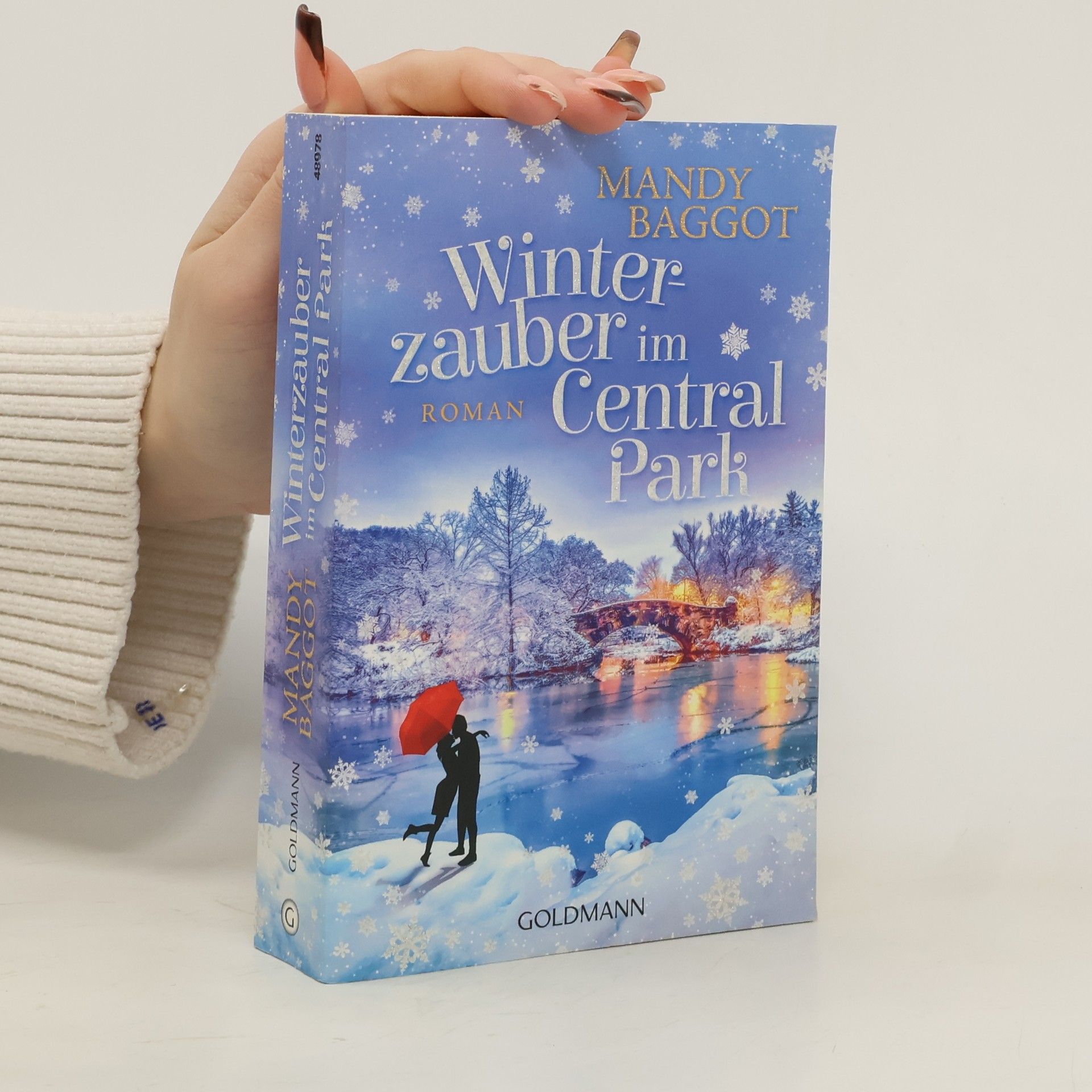 Mandy Baggot Winterzauber im Central Park