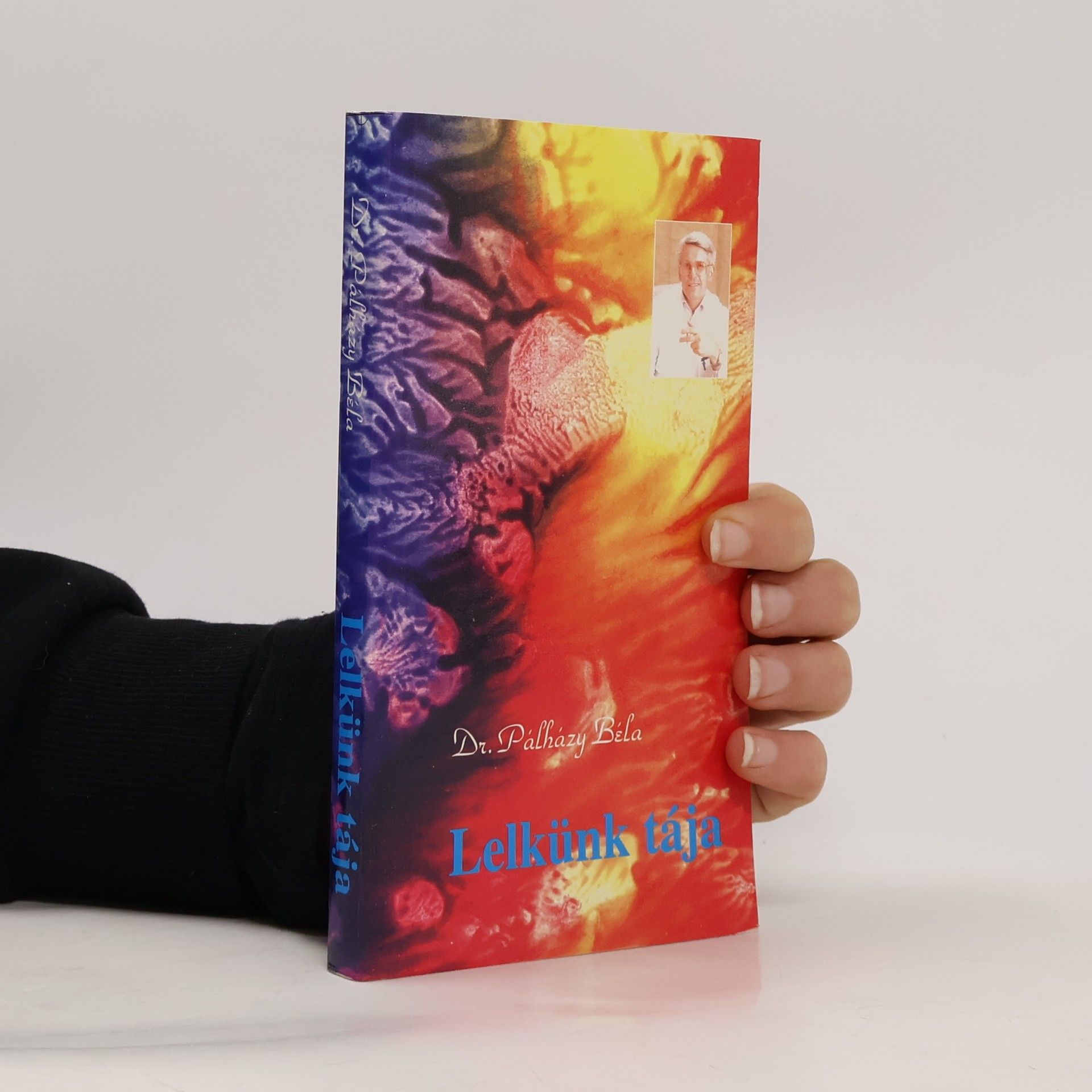 Pálhýzy Béla Lelkünk tája