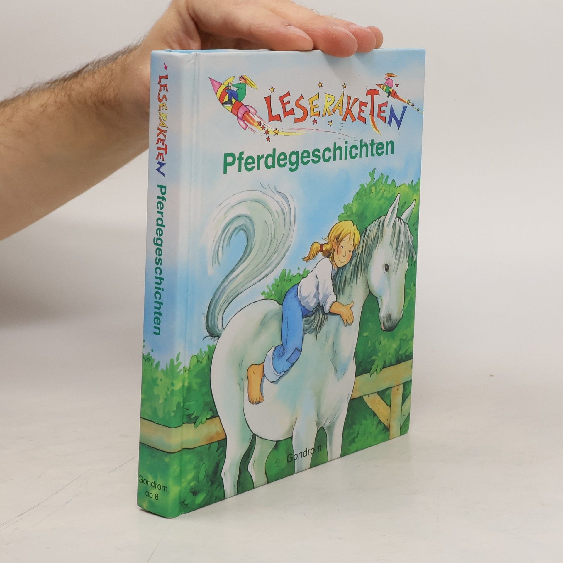 Anne Braun Pferdegeschichten