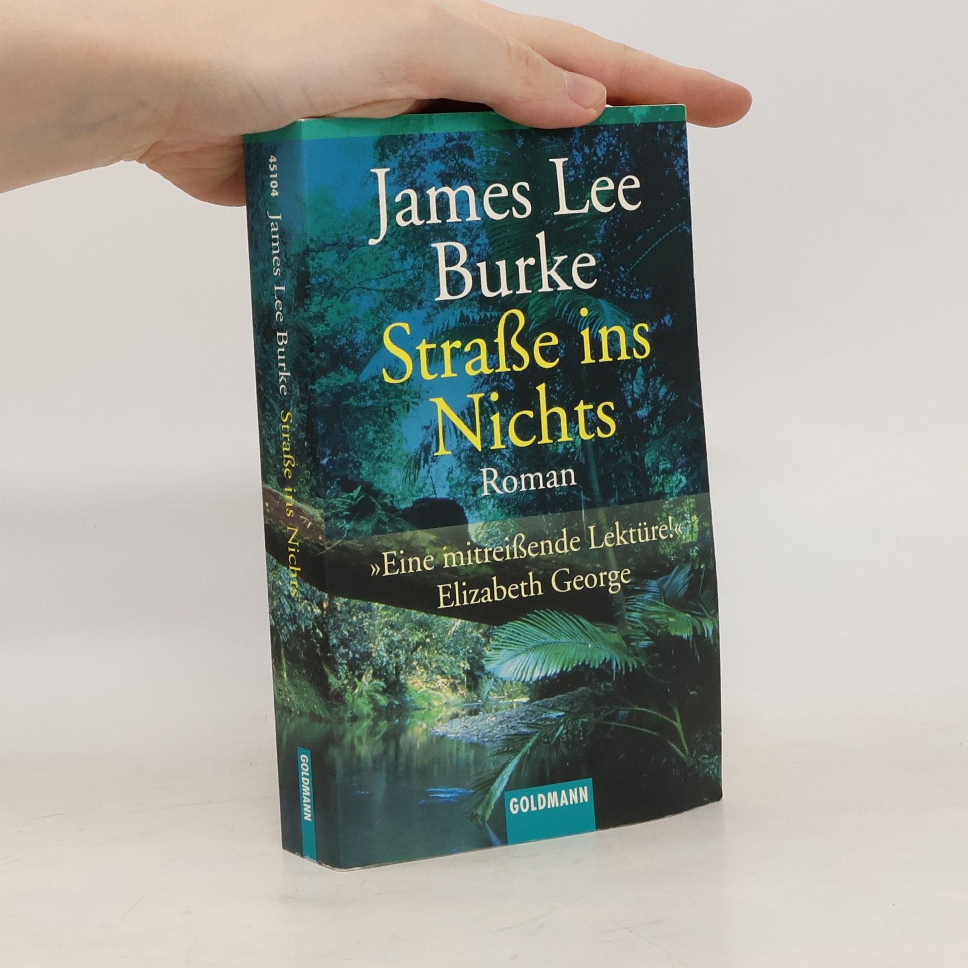 James Lee Burke Straße ins Nichts