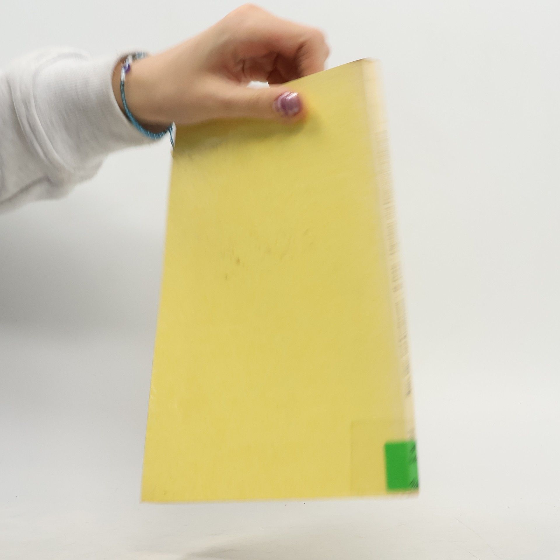 Helmut Pehle Die Auswirkungen der Liquidität auf die Firmenentscheidungen