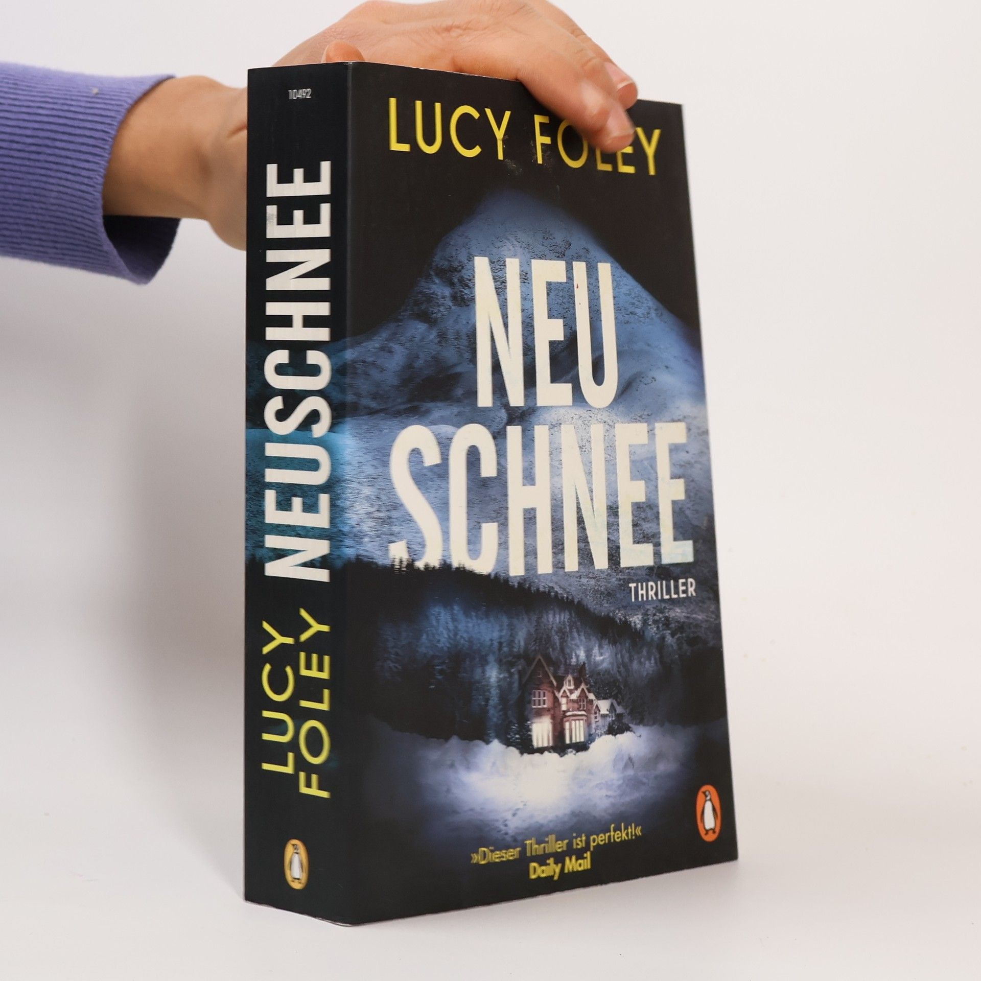 Lucy Foley Neuschnee