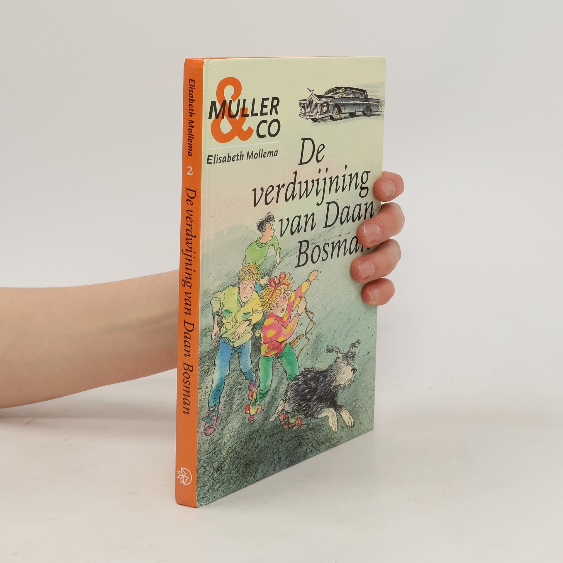 De merkwaardige verdwijning van Daan Bosman