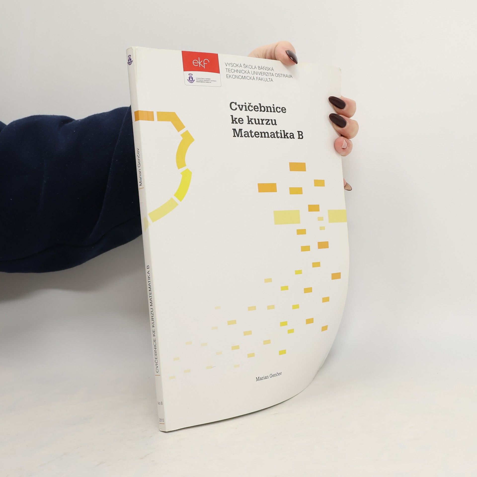 Cvičebnice ke kurzu Matematika B