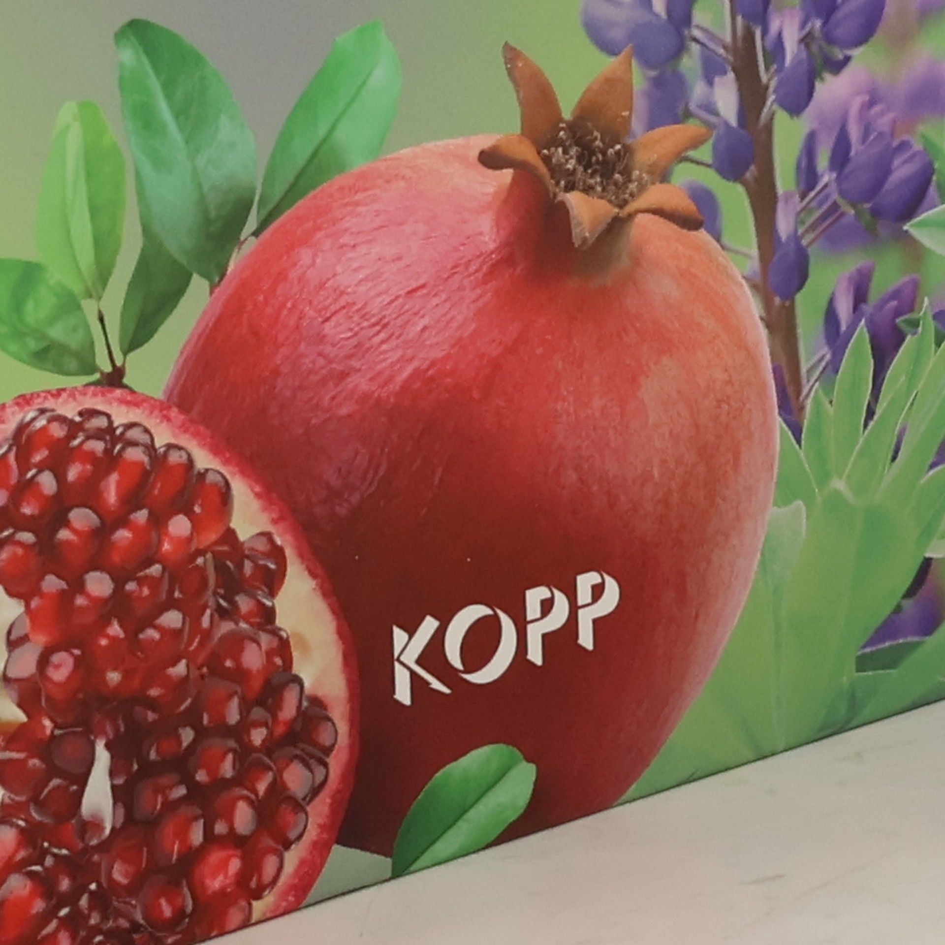 Brigitte Hamann Die 50 besten Superfoods