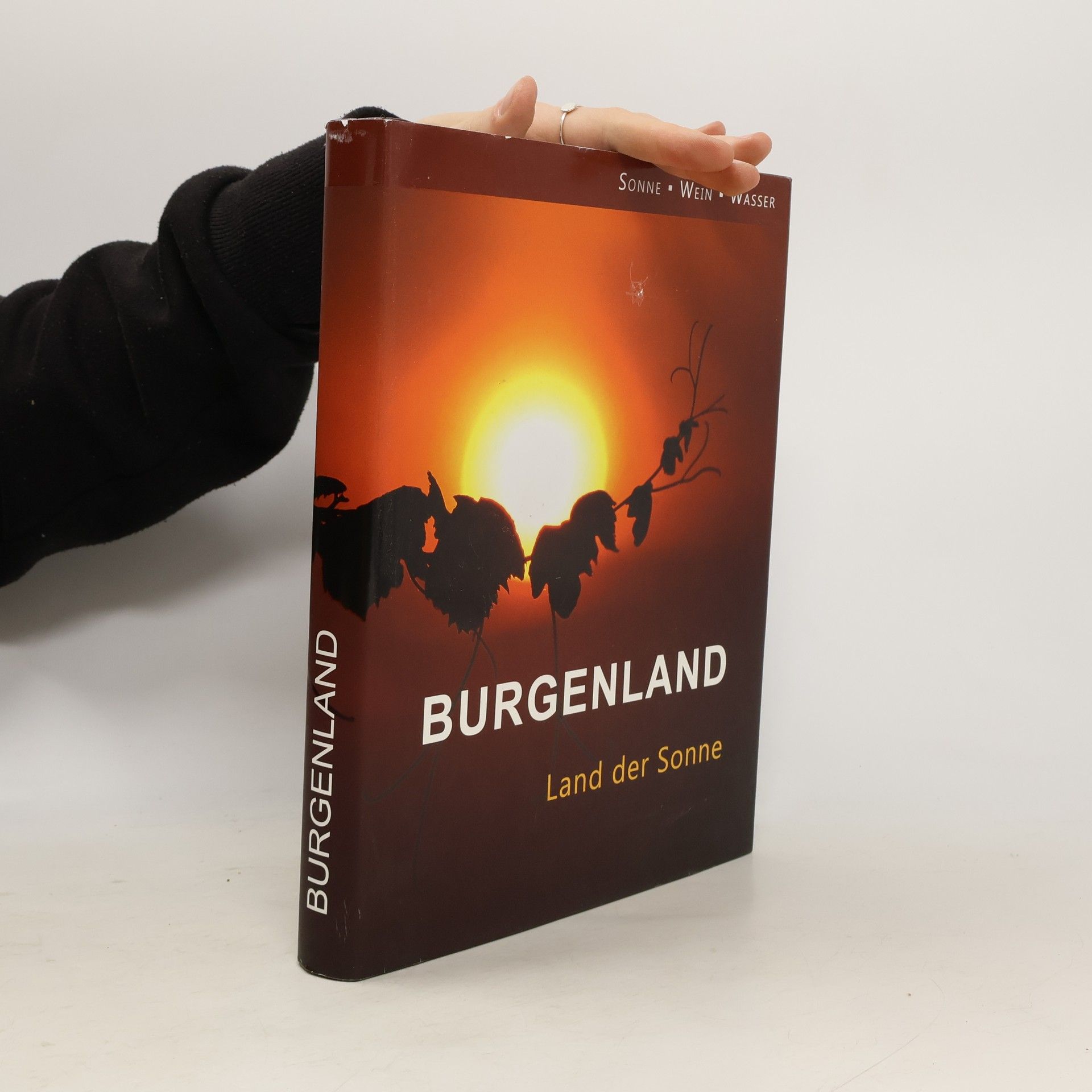 Markus Kirsner Burgenland