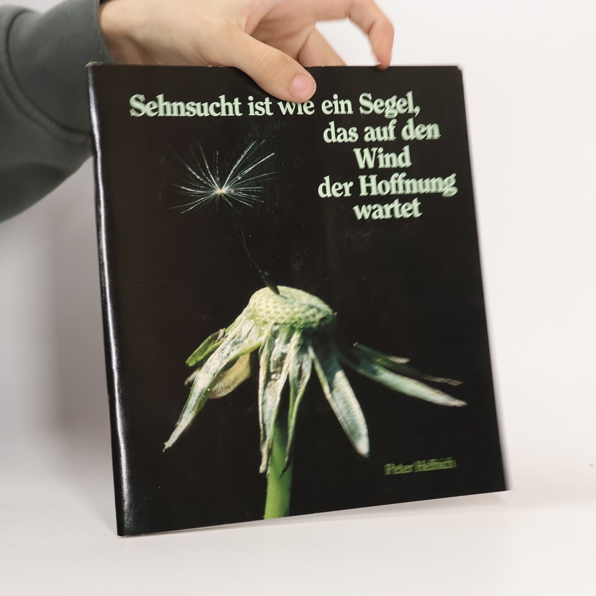 Sehnsucht ist wie ein Segel, das auf den Wind der Hoffnung wartet