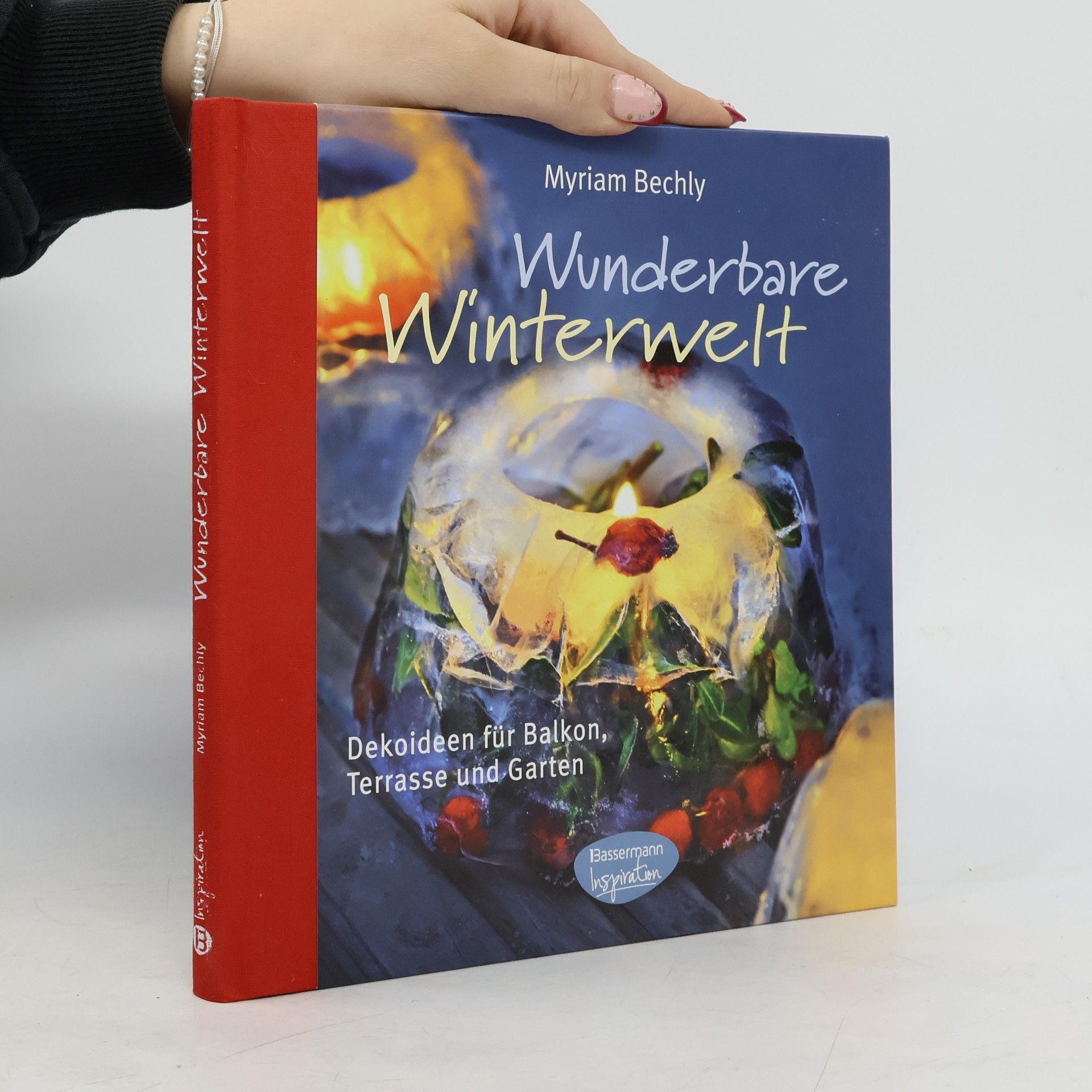 Myriam Bechly Wunderbare Winterwelt