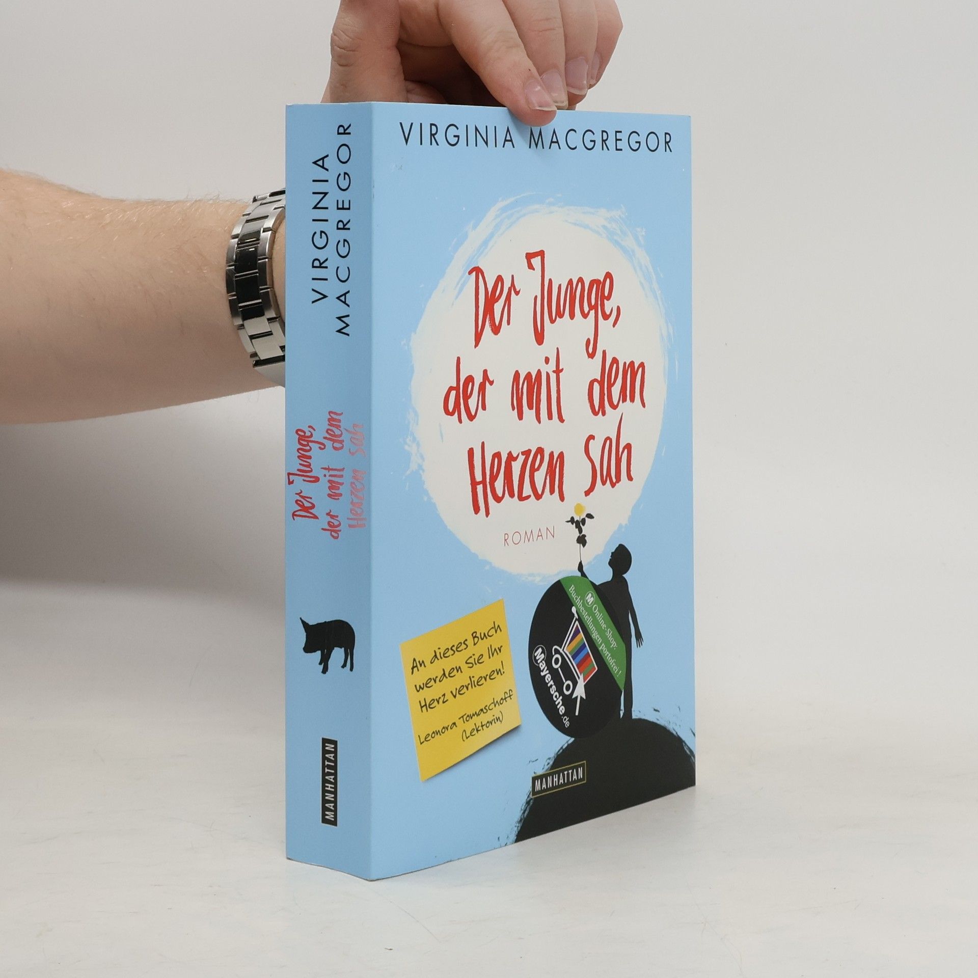 Virginia Macgregor Der Junge, der mit dem Herzen sah