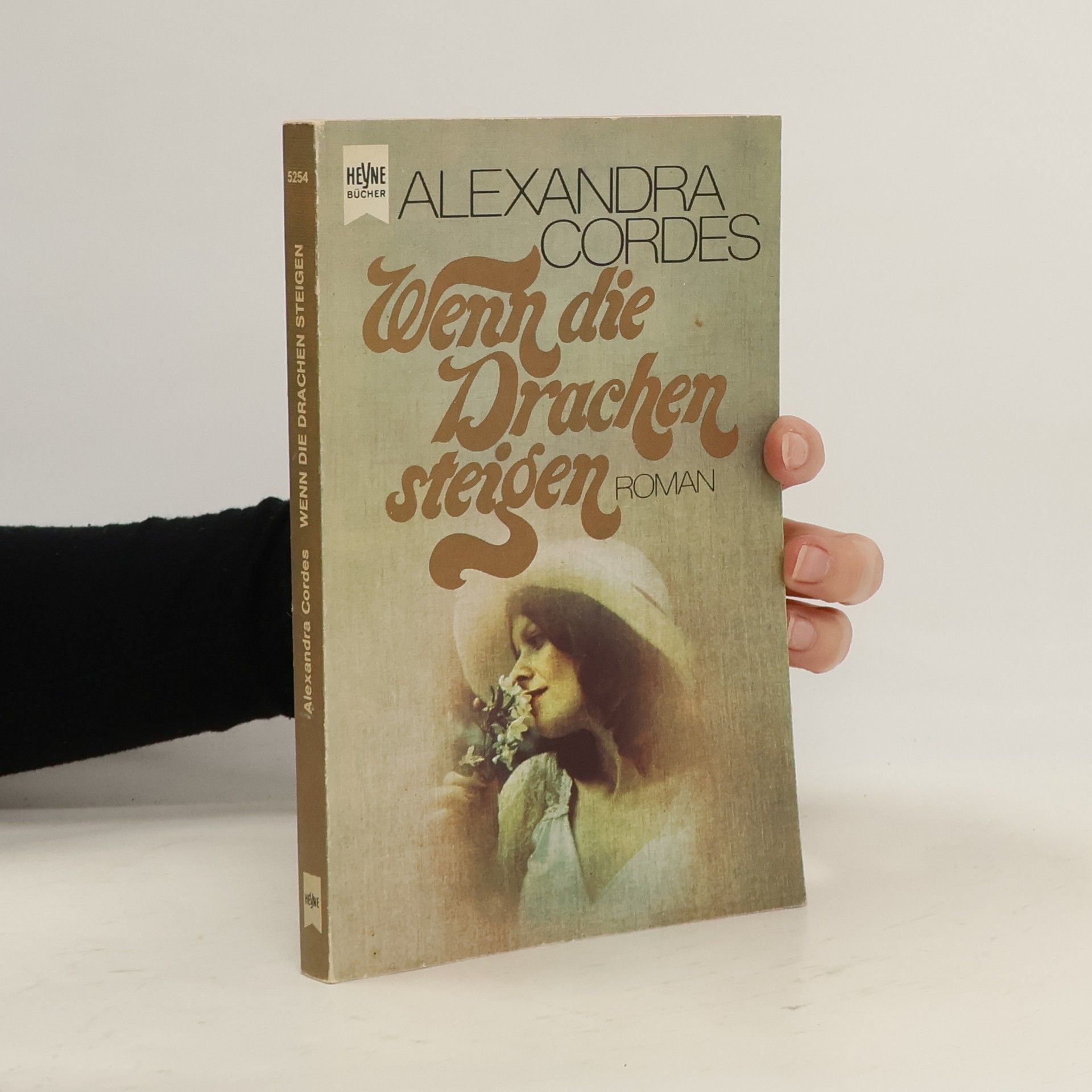 Cordes Alexandra Wenn die Drachen steigen