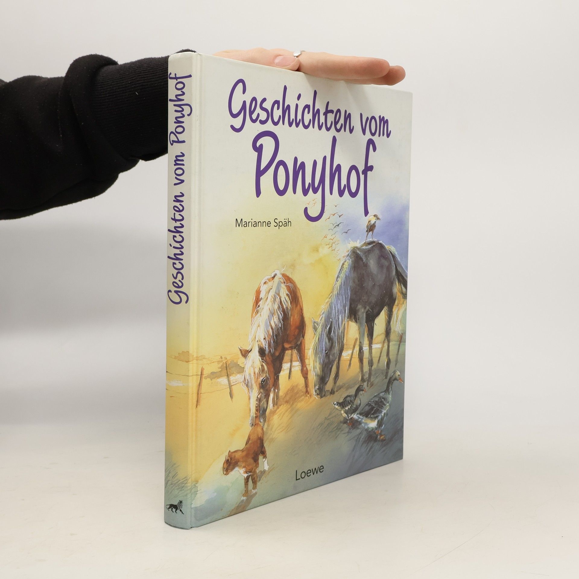 Marianne Späh Geschichten vom Ponyhof