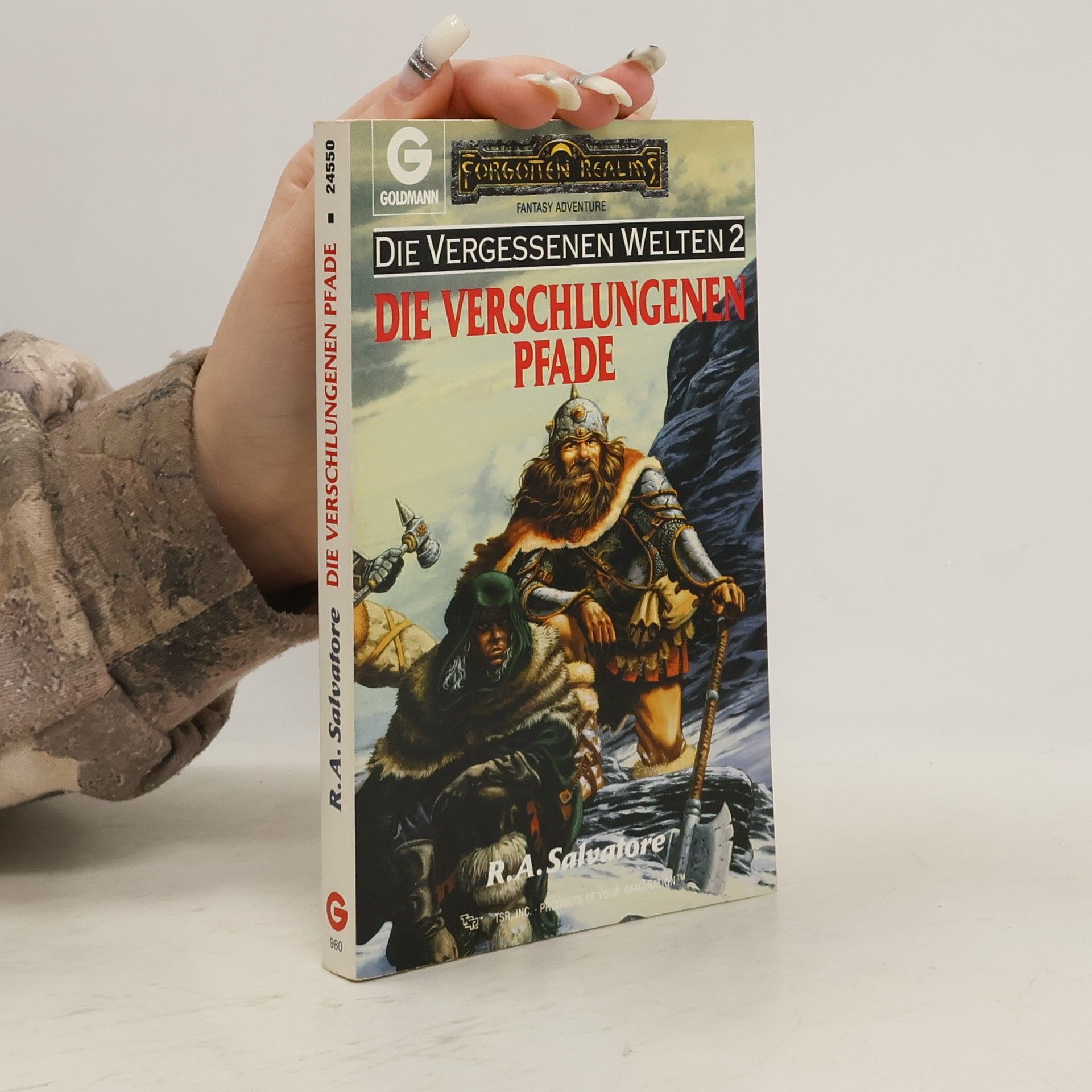 Robert Anthony Salvatore Die vergessenen Welten