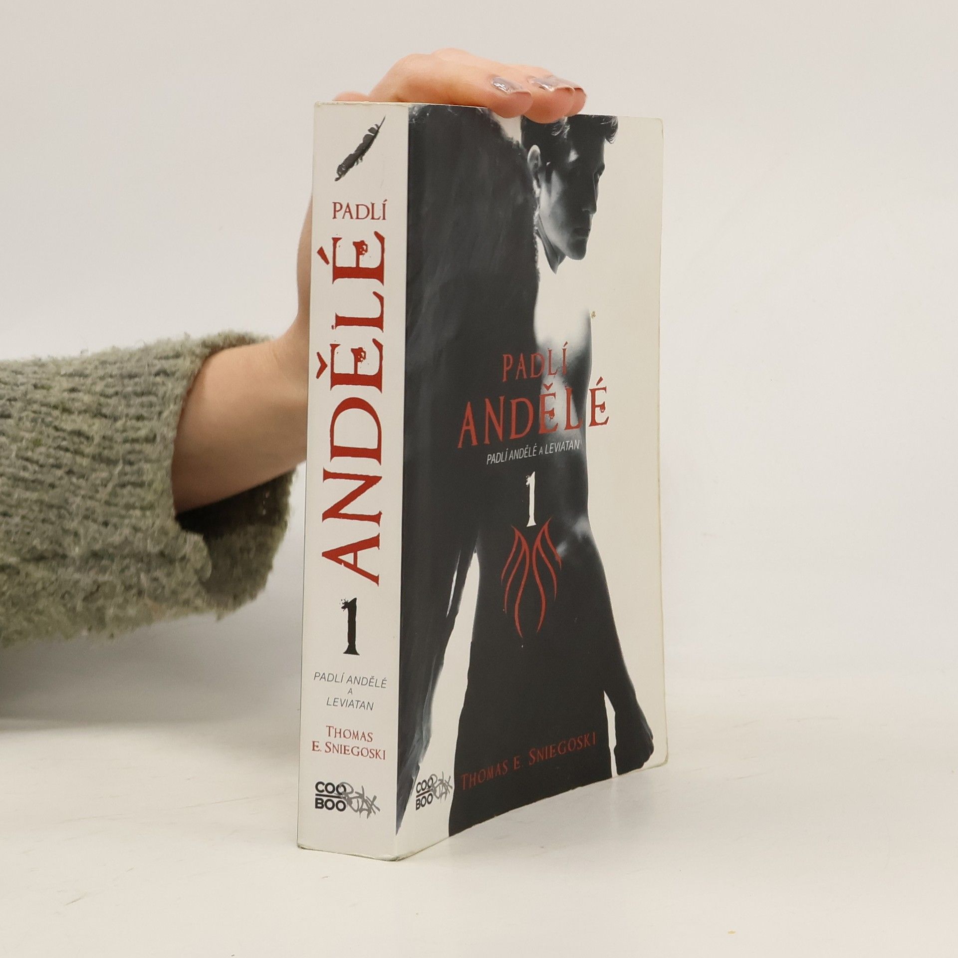 Thomas E. Sniegoski Padlí andělé a Leviatan. Padlí andělé. 1. díl