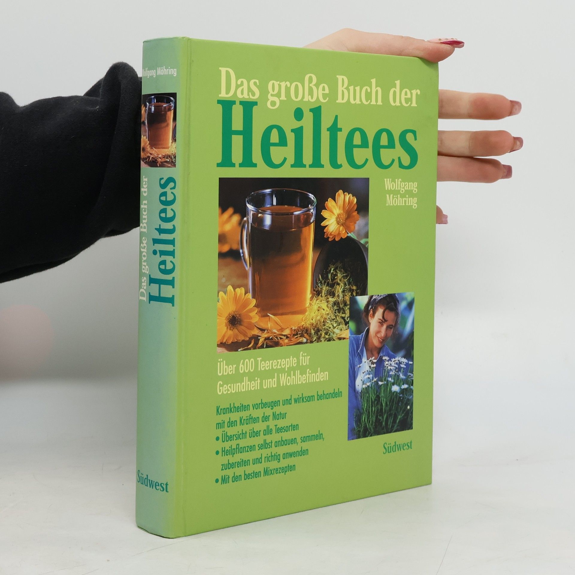 Wolfgang Möhring Das große Buch der Heiltees