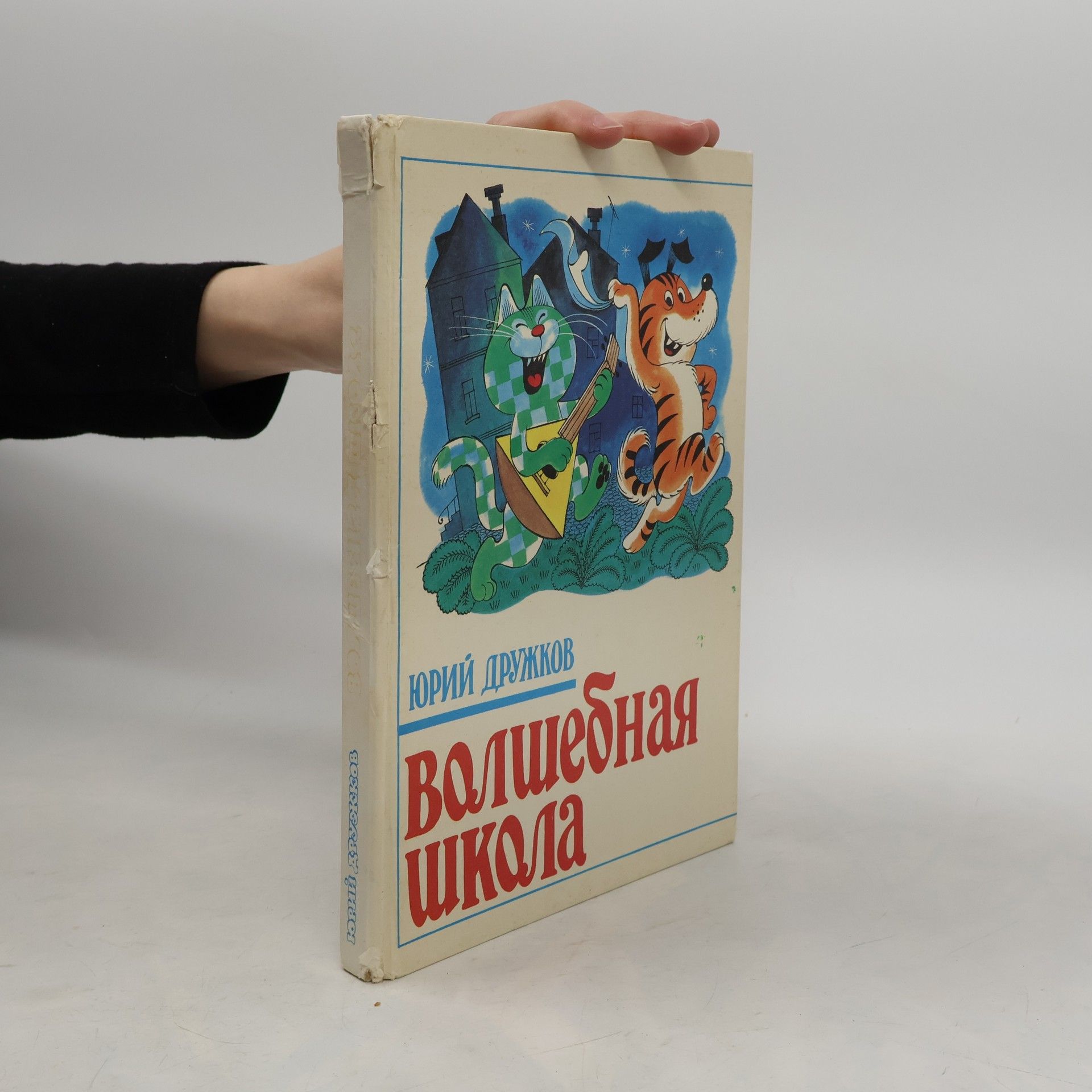 Юрий Дружков Волшебная школа