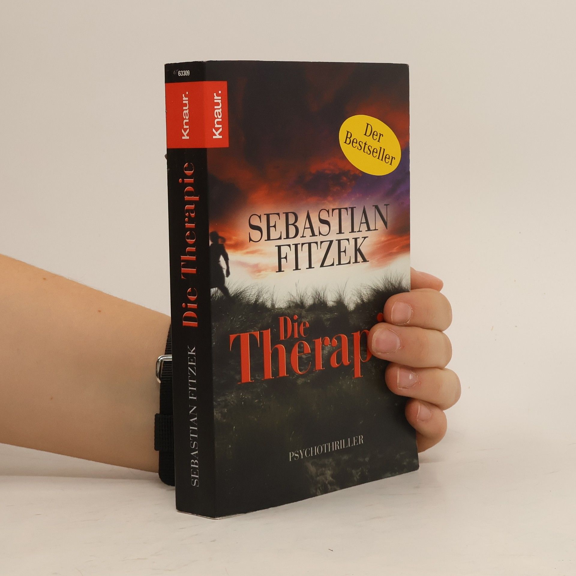 Sebastian Fitzek Die Therapie