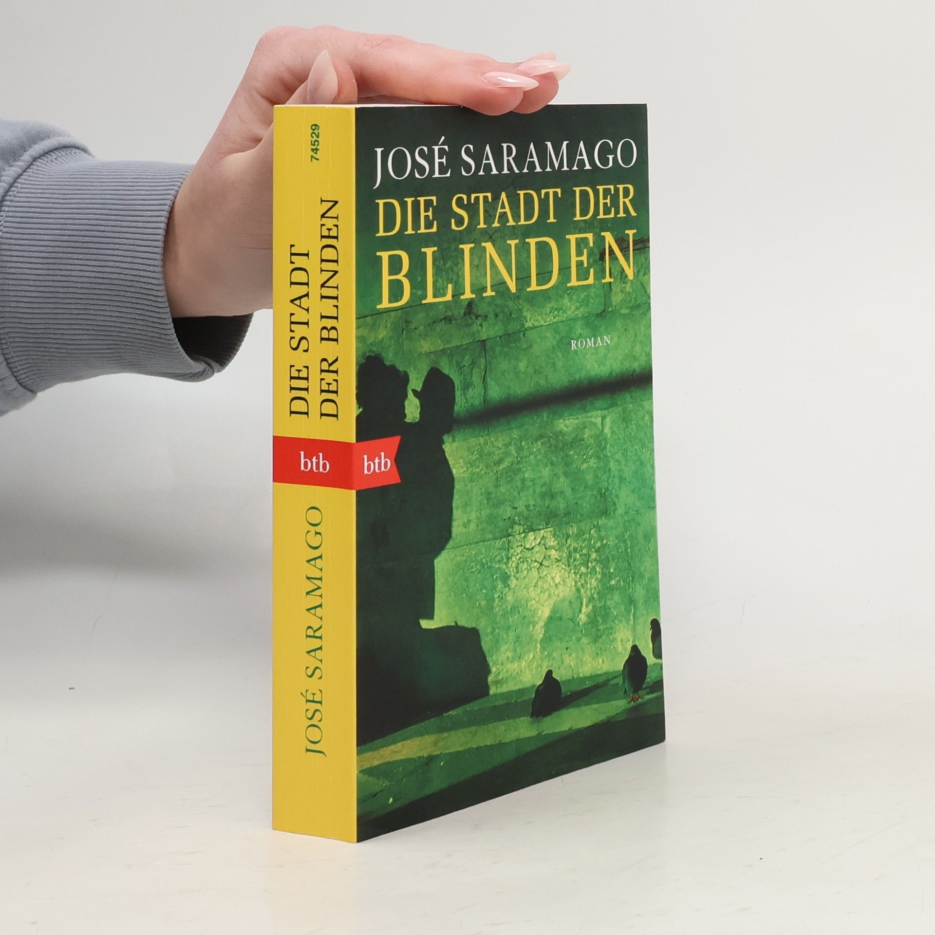 José Saramago Die Stadt der Blinde