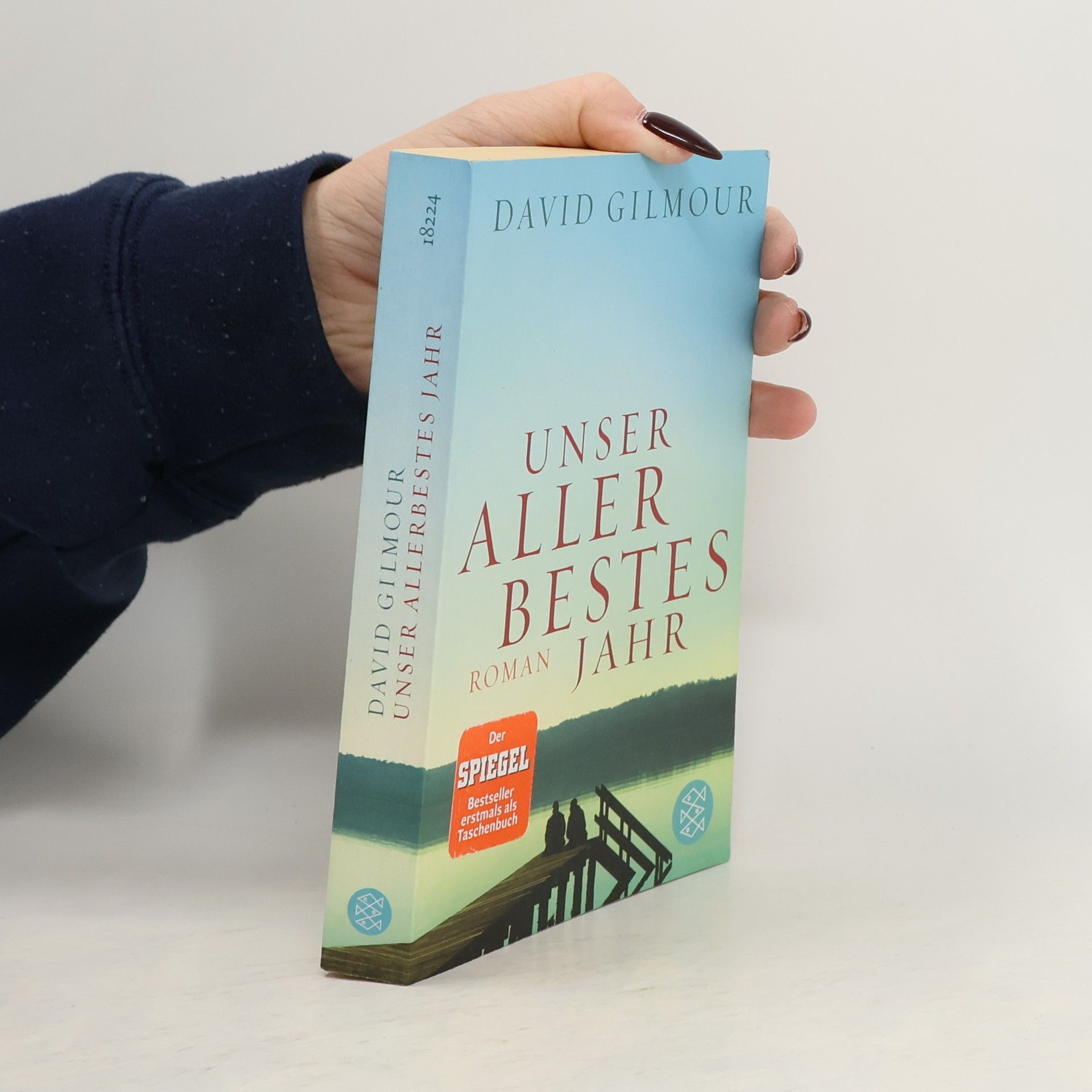 David Gilmour Unser allerbestes Jahr