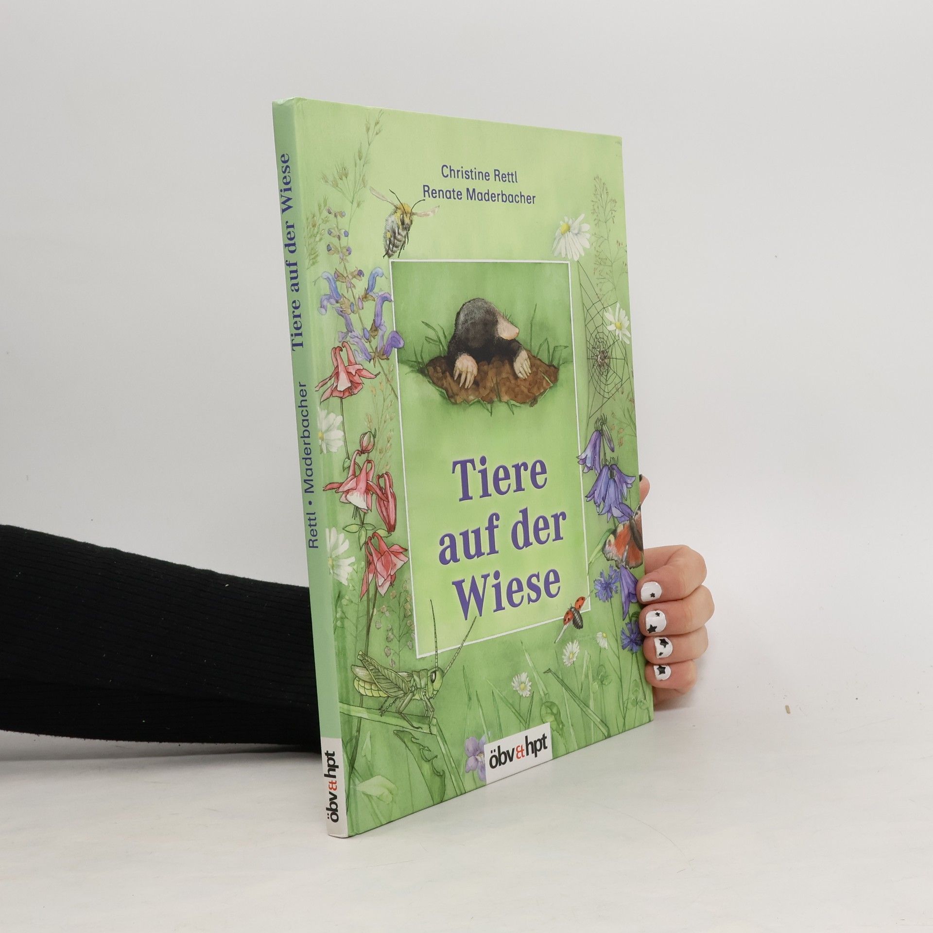 Tiere auf der Wiese (Ab 6 J.)