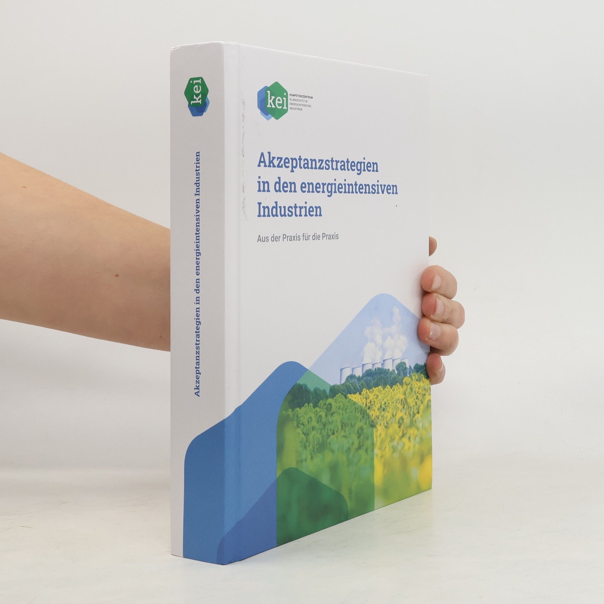 Autorenkollektiv Akzeptanzstrategien in den energieintensiven Industrien