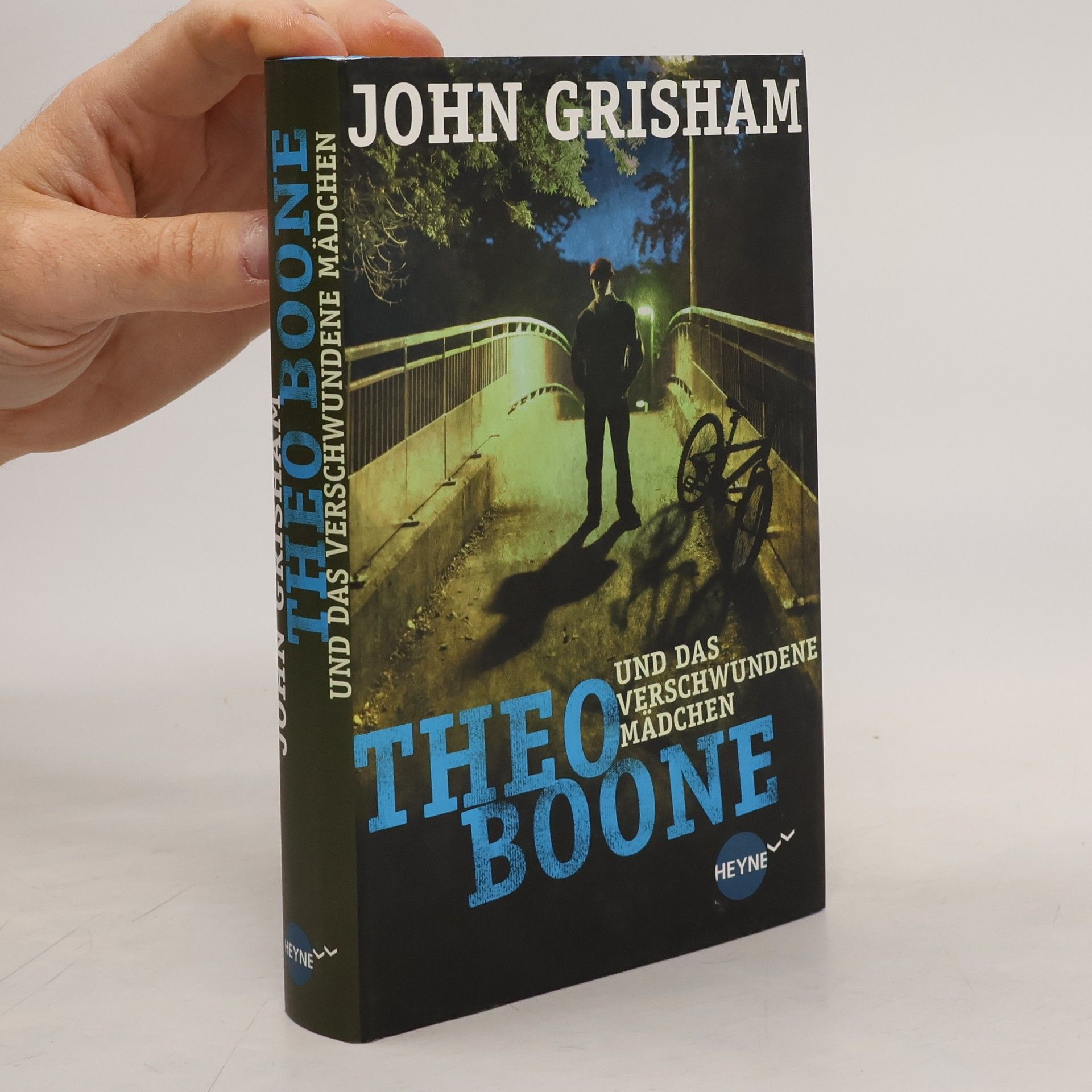 Theo Boone und das verschwundene Mädchen