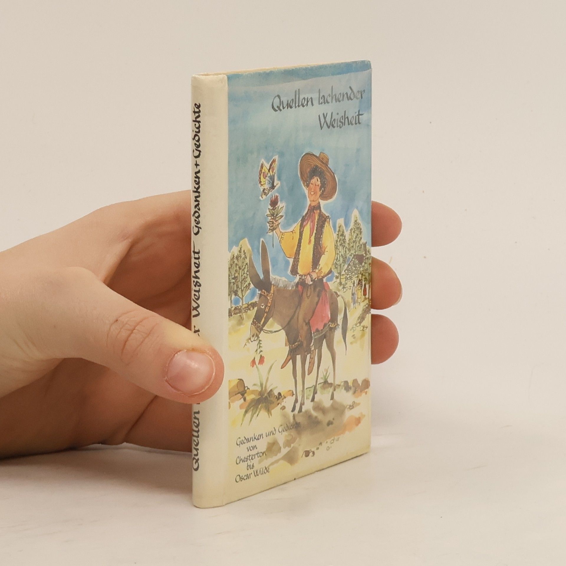 Autorenkollektiv Quellen lachender Weisheit