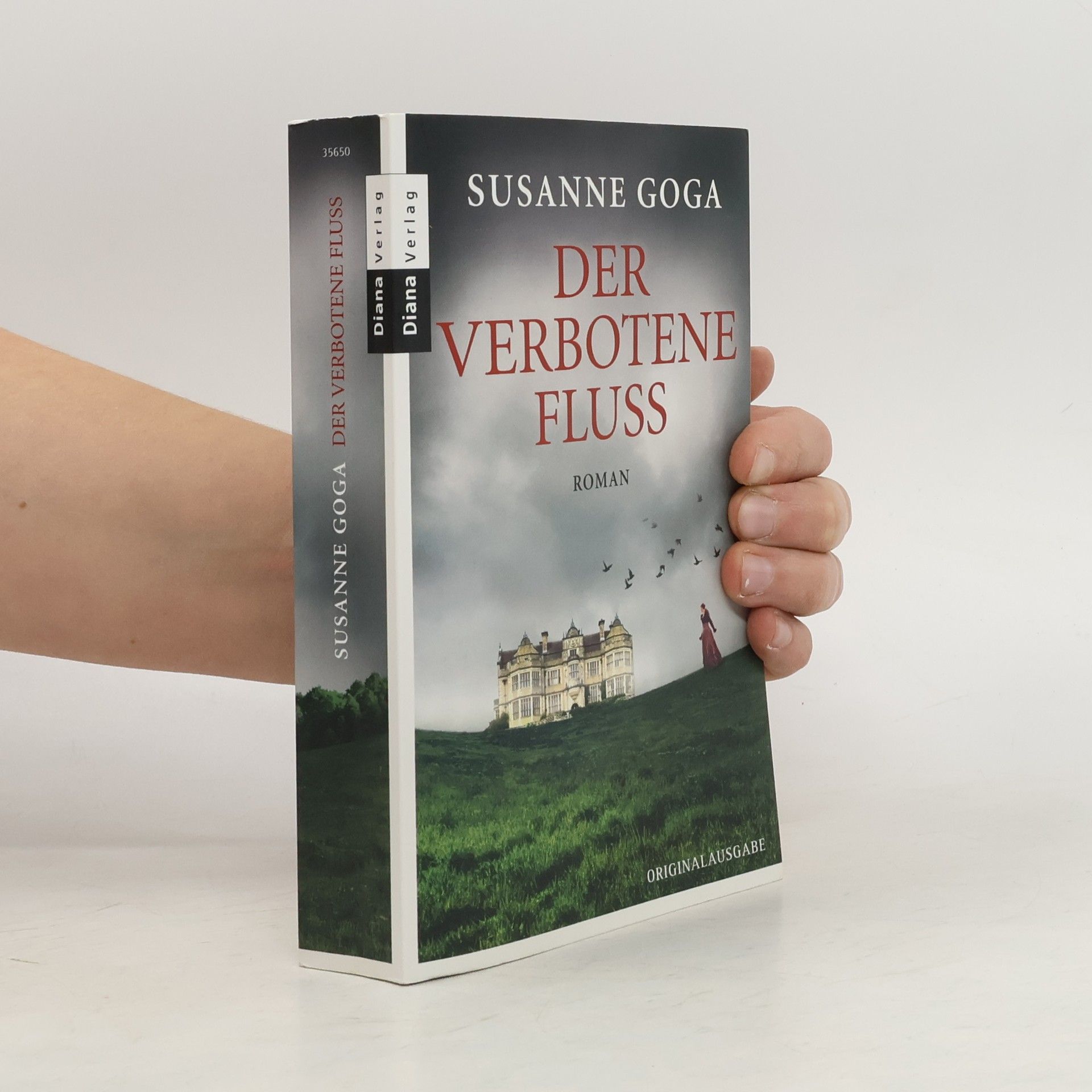 Susanne Goga Der verbotene Fluss