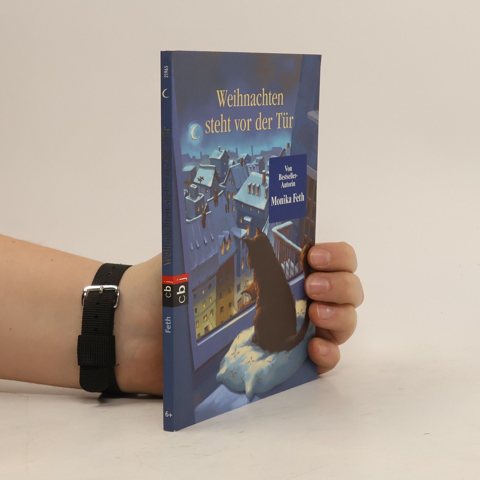 Monika Feth Weihnachten steht vor der Tür