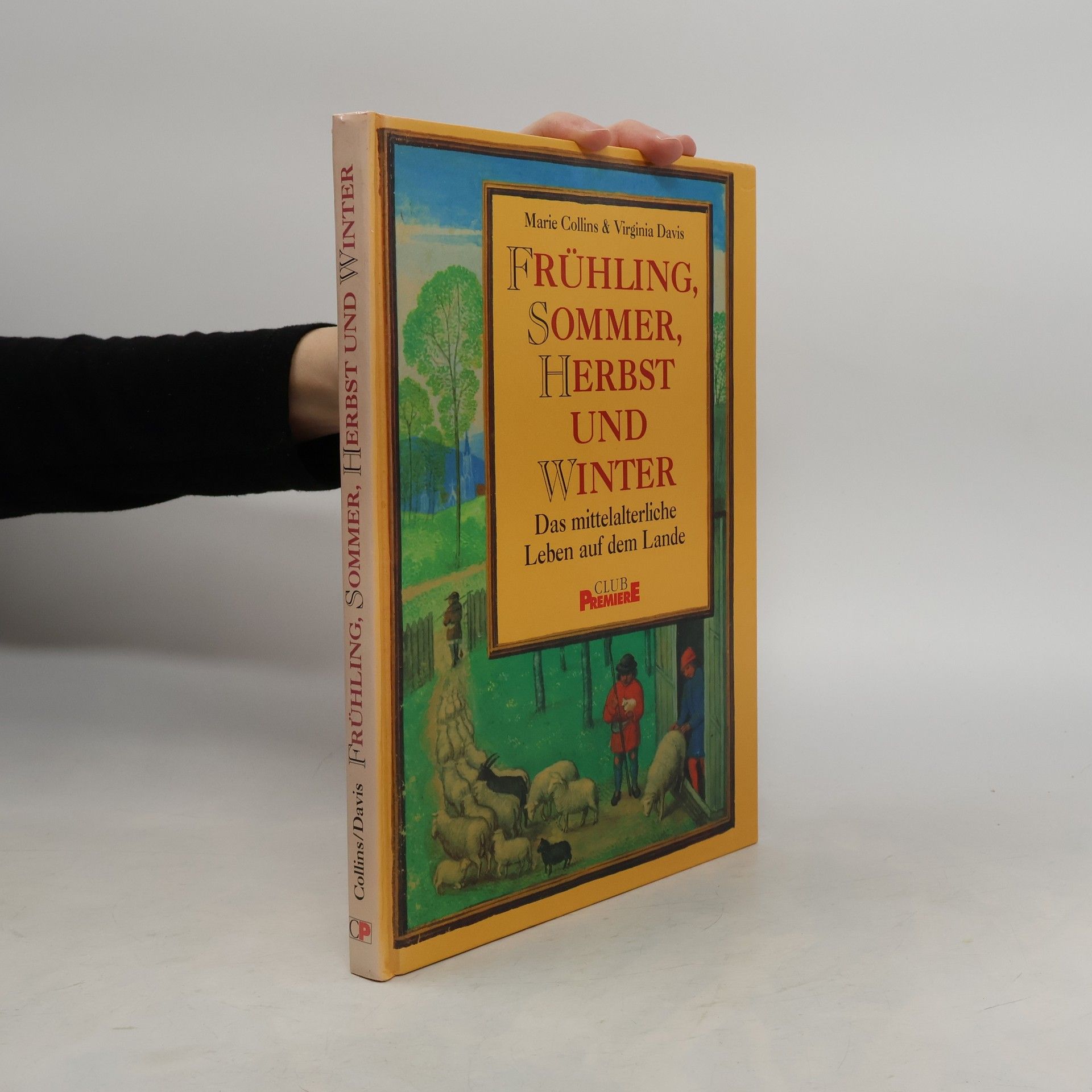 Frühling, Sommer, Herbst und Winter 