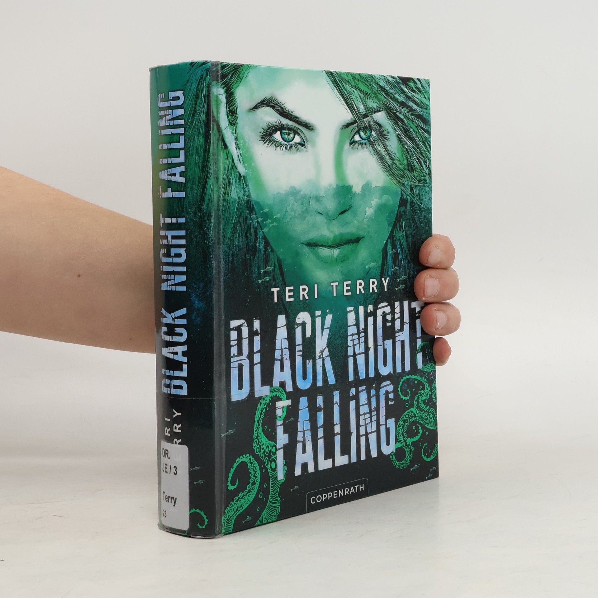 Teri Terry Black Night Falling