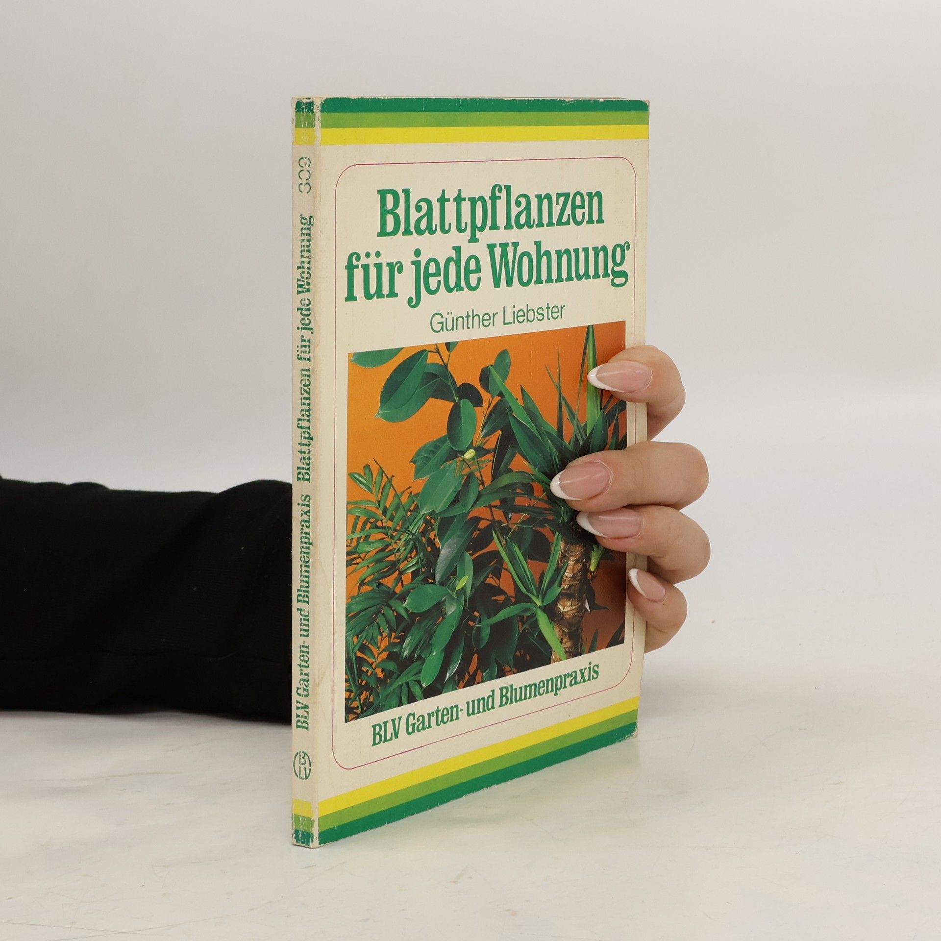 Günther Liebster Blattpflanzen für jede Wohnung
