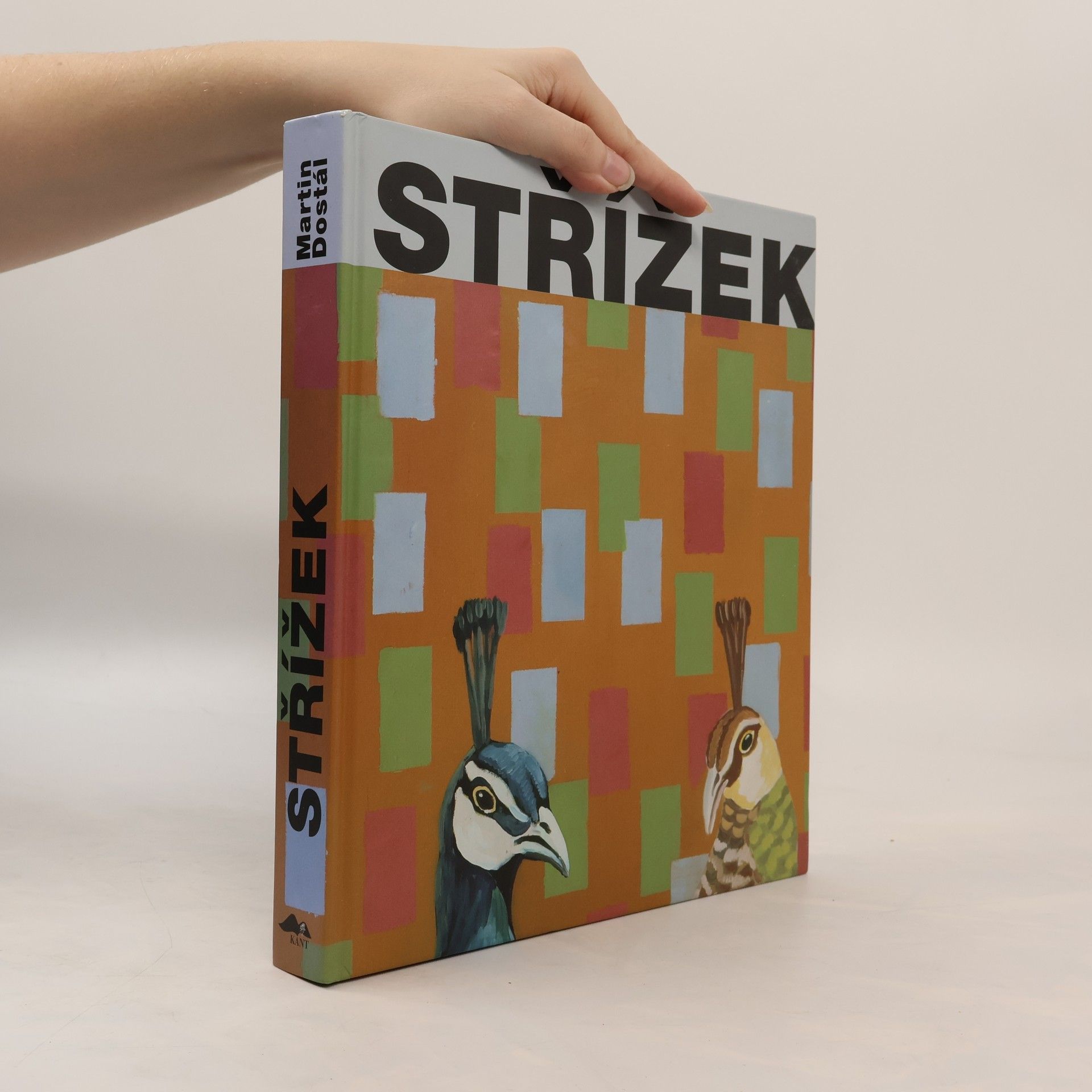 Antonín Střížek Antonín Střížek