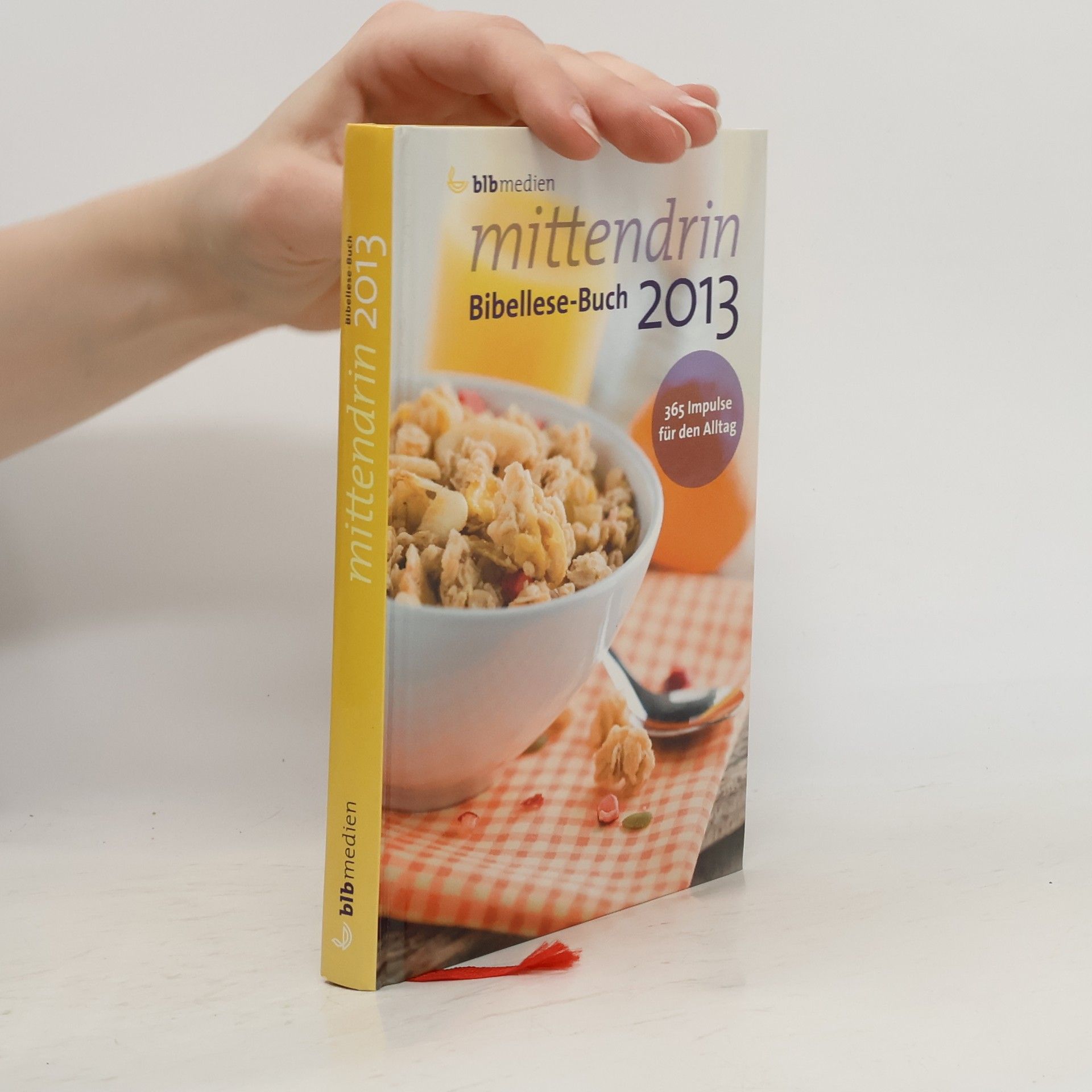 Autorenkollektiv Mittendrin 2013
