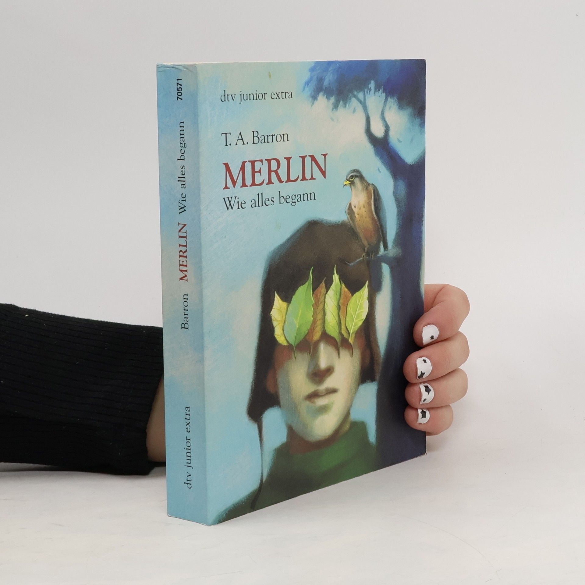 T. A. Barron Merlin. Wie alles begann