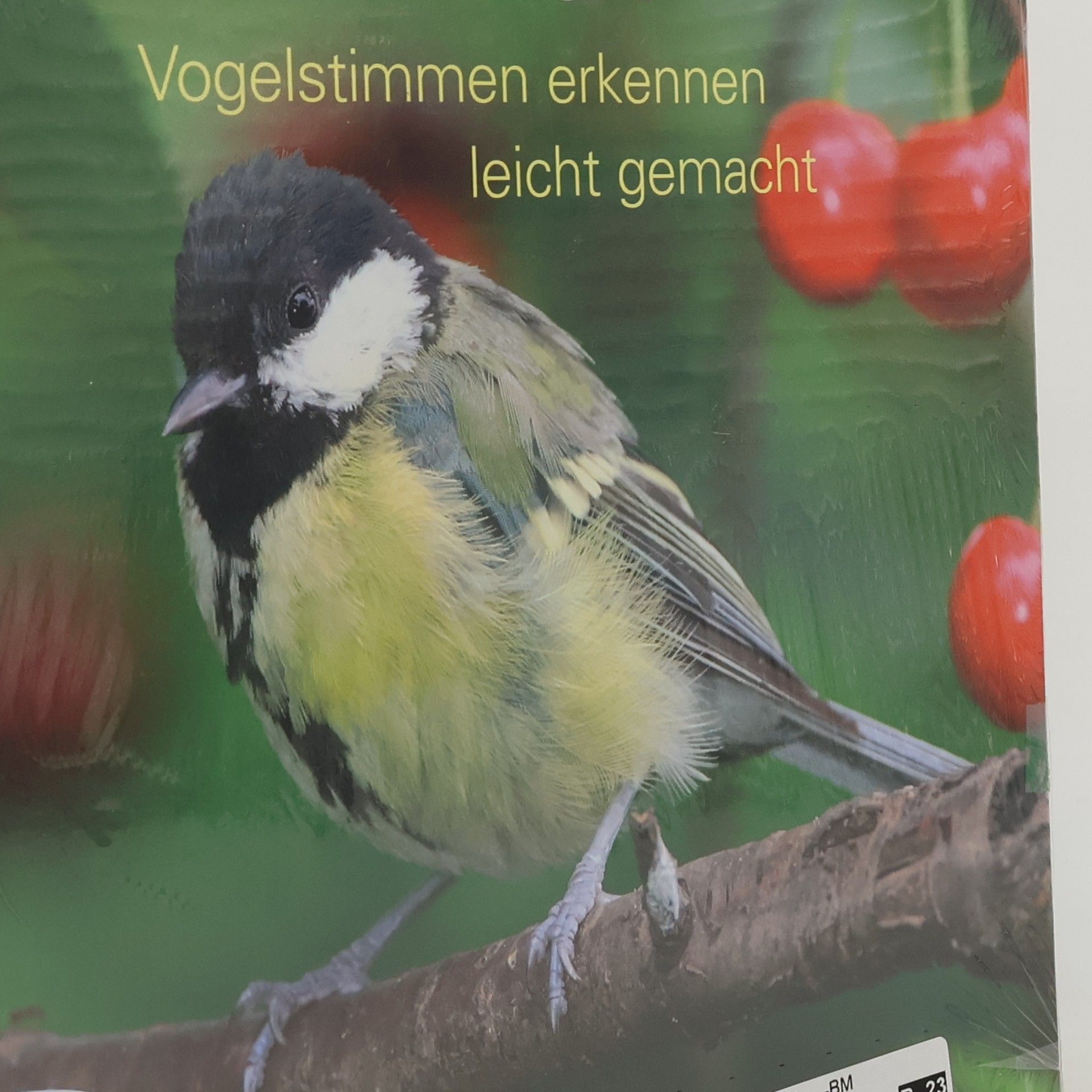 AA.VV. Wer singt denn da?