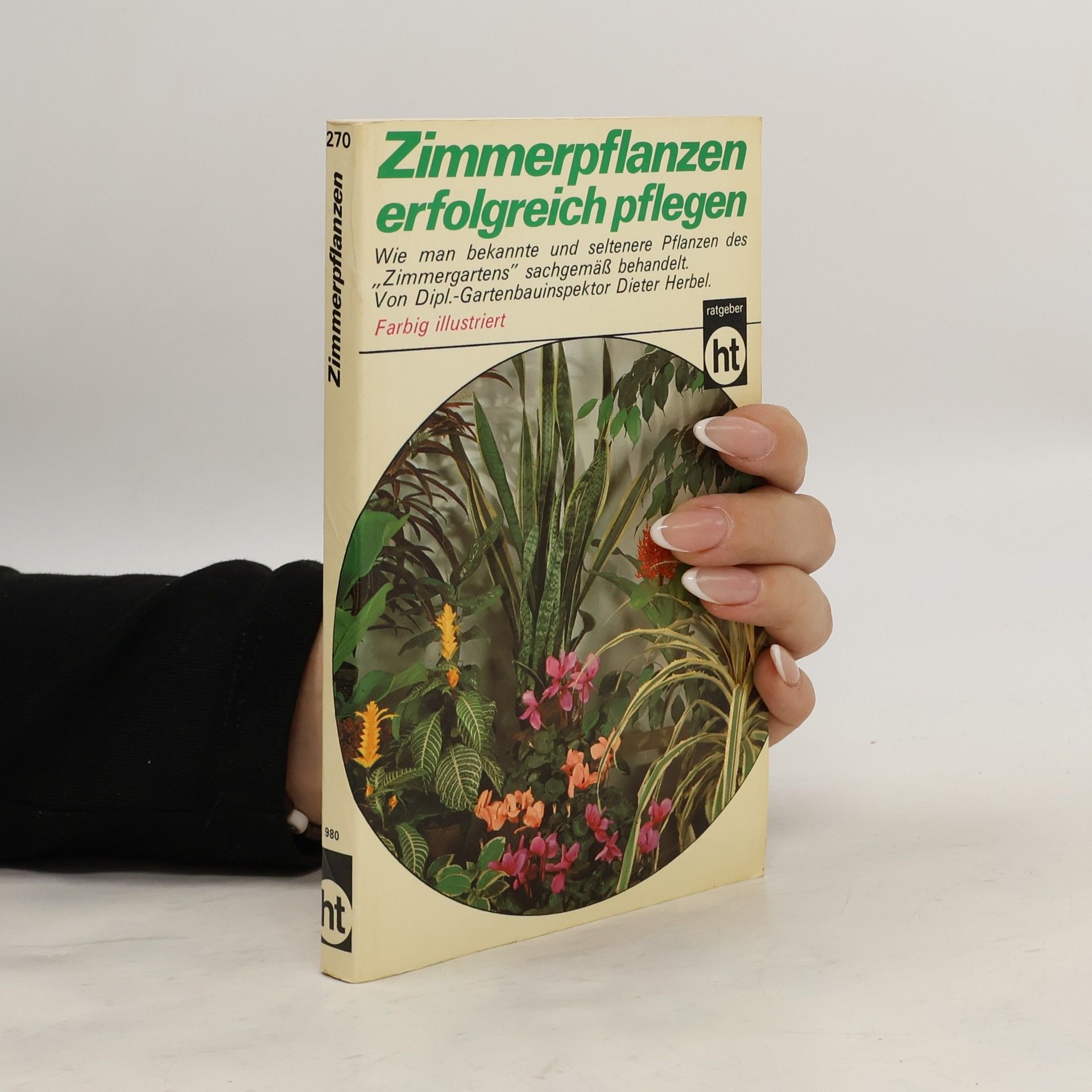 Zimmerpflanzen erfolgreich pflegen