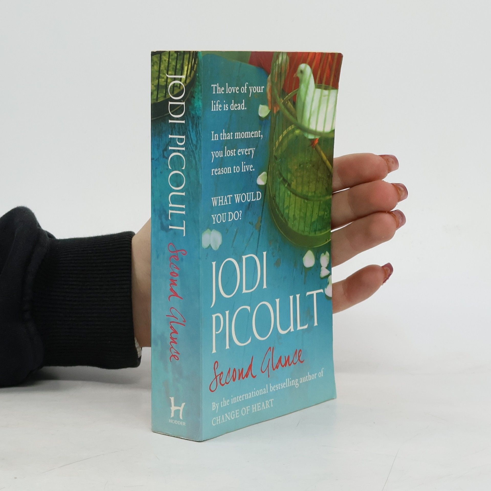 Jodi Picoult Second Glance