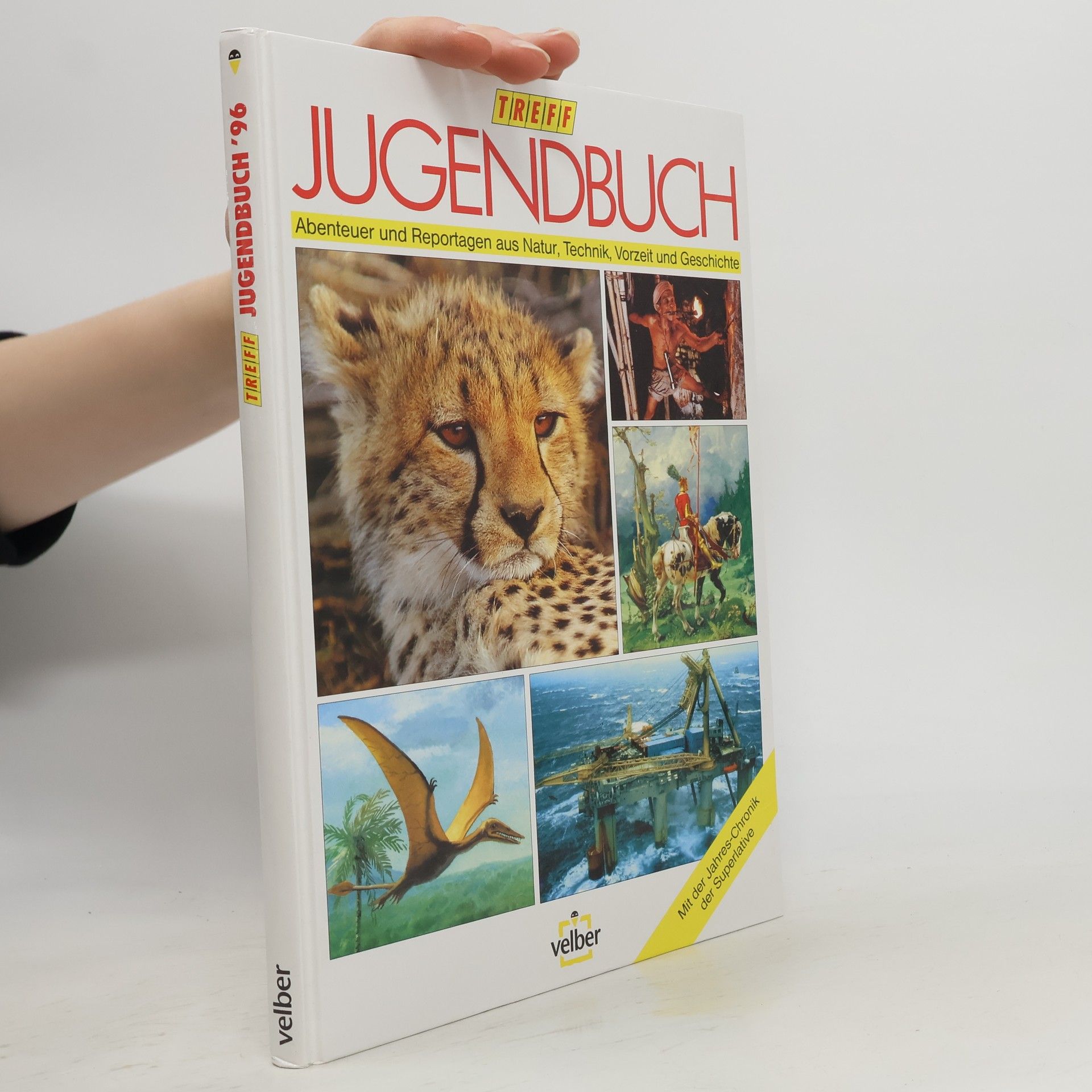 Autores varios TREFF Jugendbuch